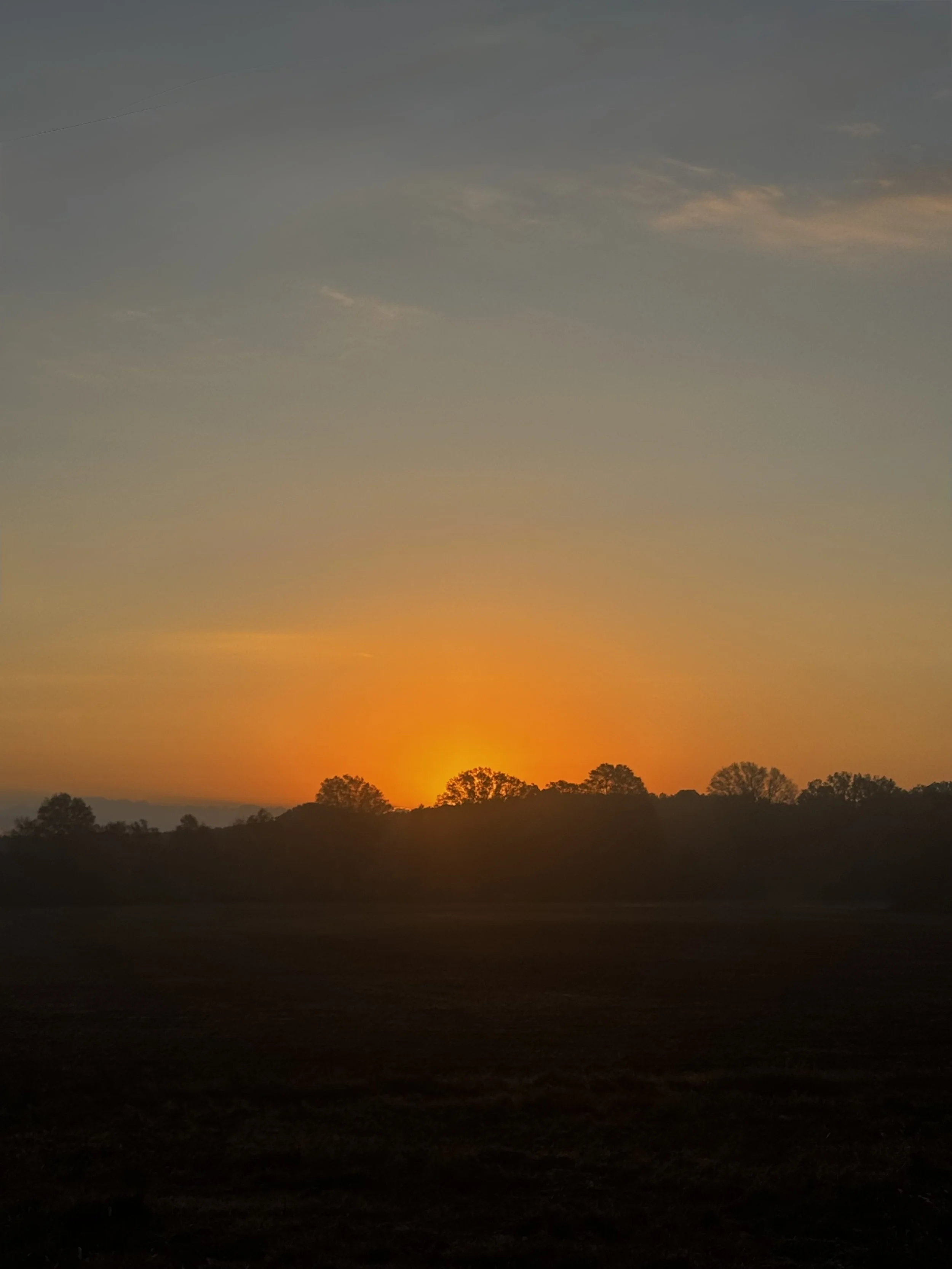 Extended Cut: Great Horned Owl Greets the Dawn
