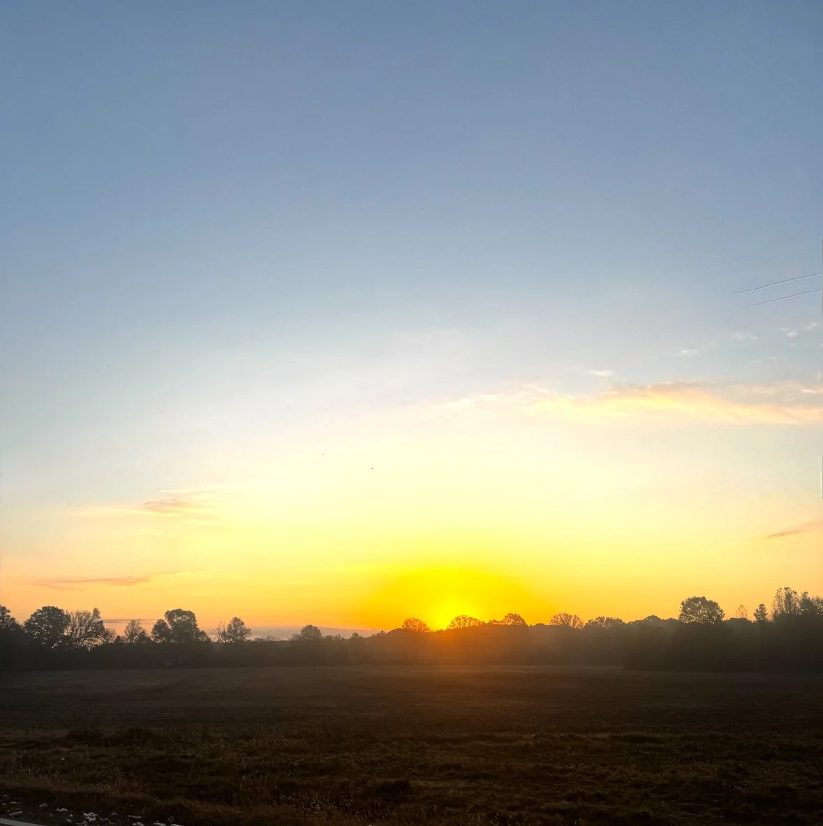 Episode 129: Great Horned Owl Greets the Dawn