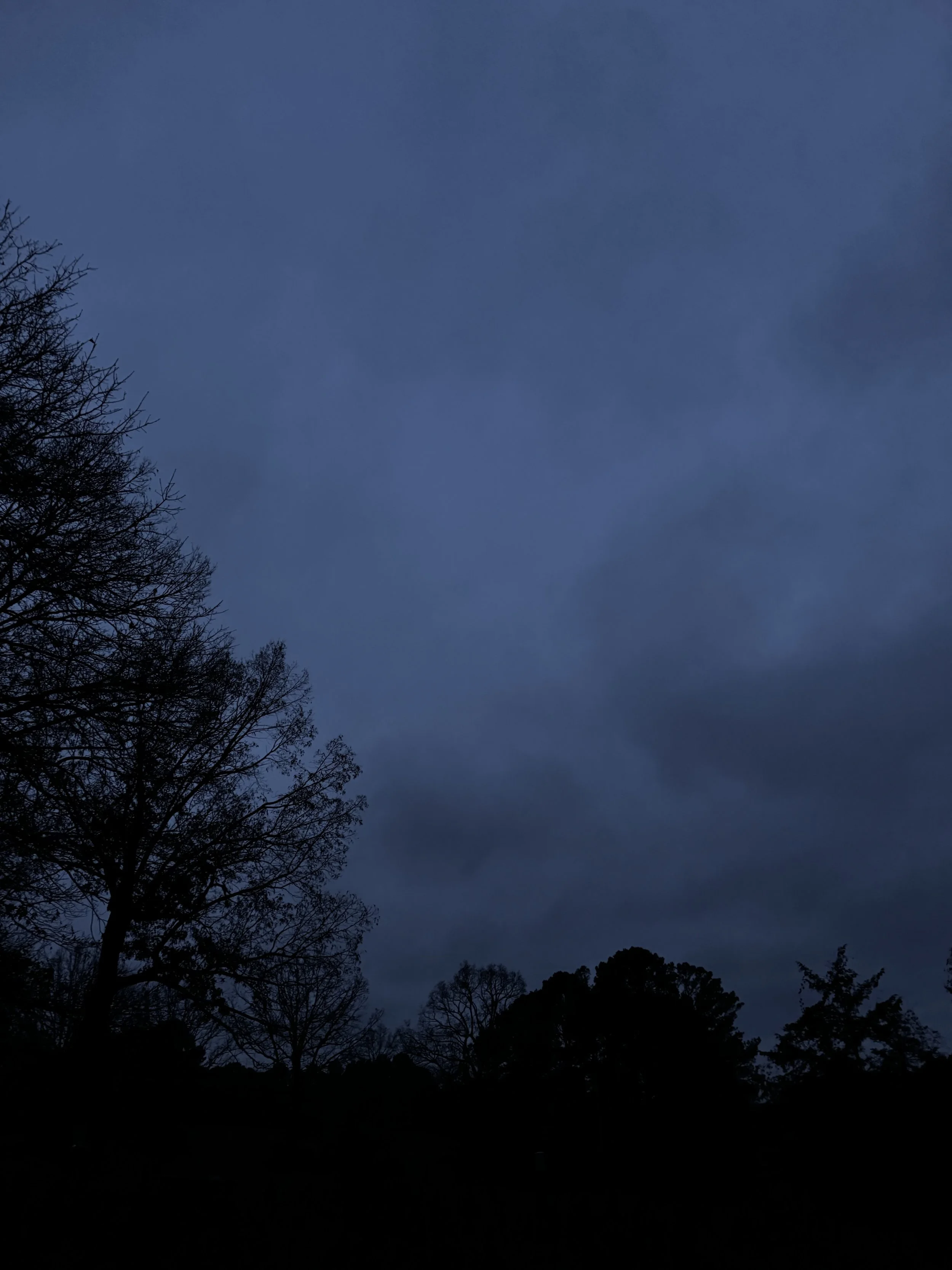 Episode 130: December Drizzle on the Porch