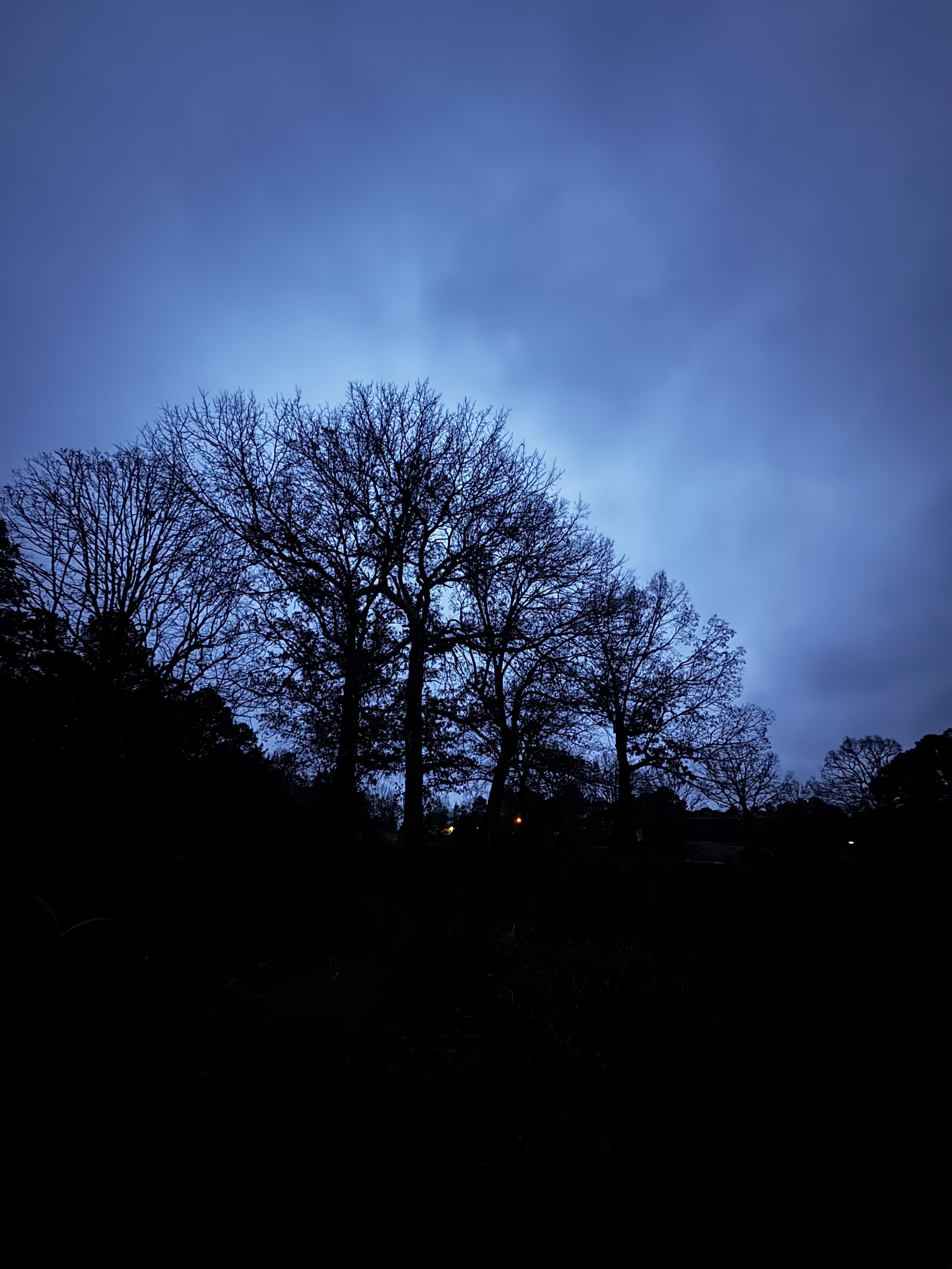 Extended Cut: December Drizzle on the Porch