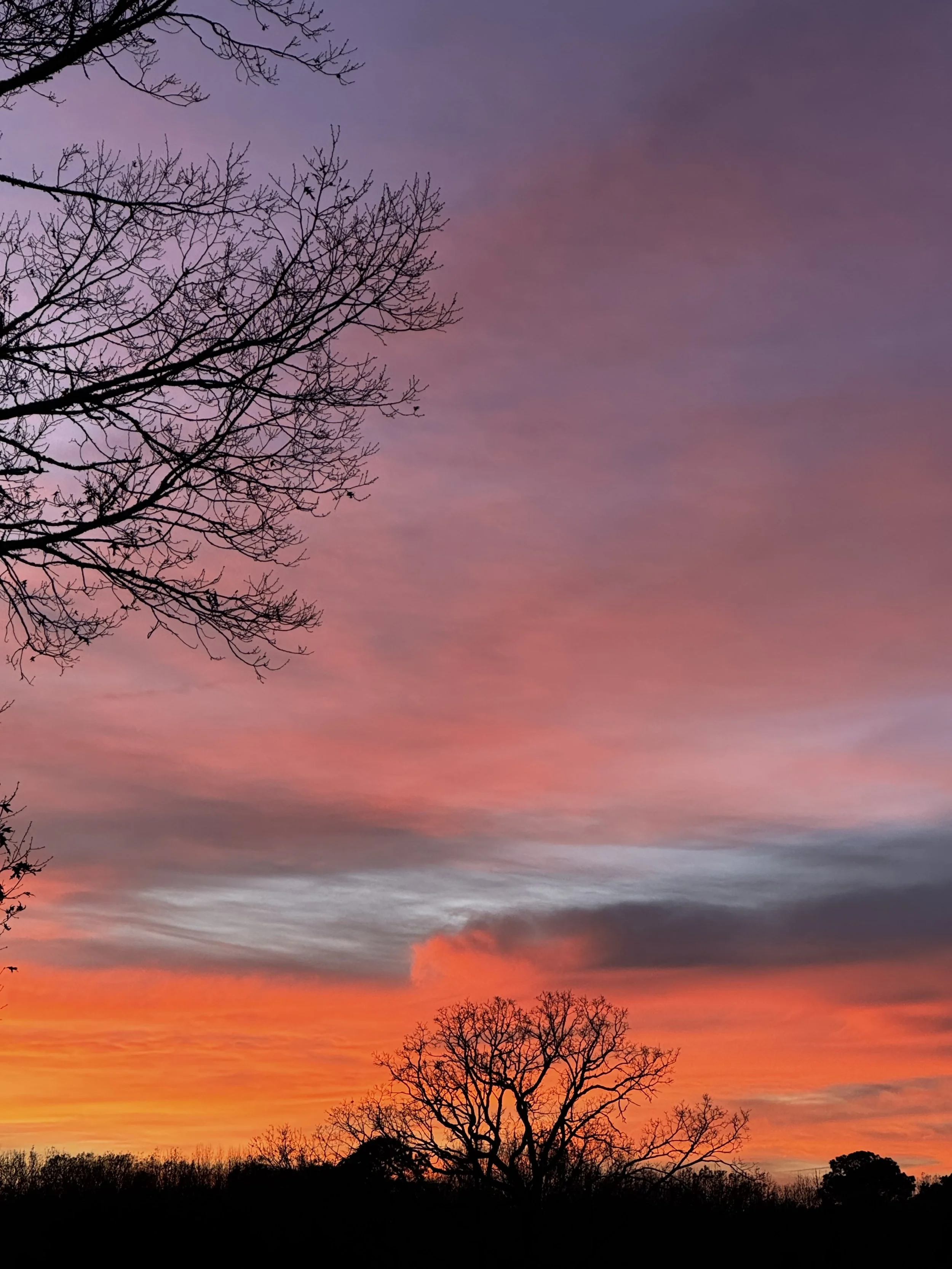 Episode 135: Rain in the December Dusk