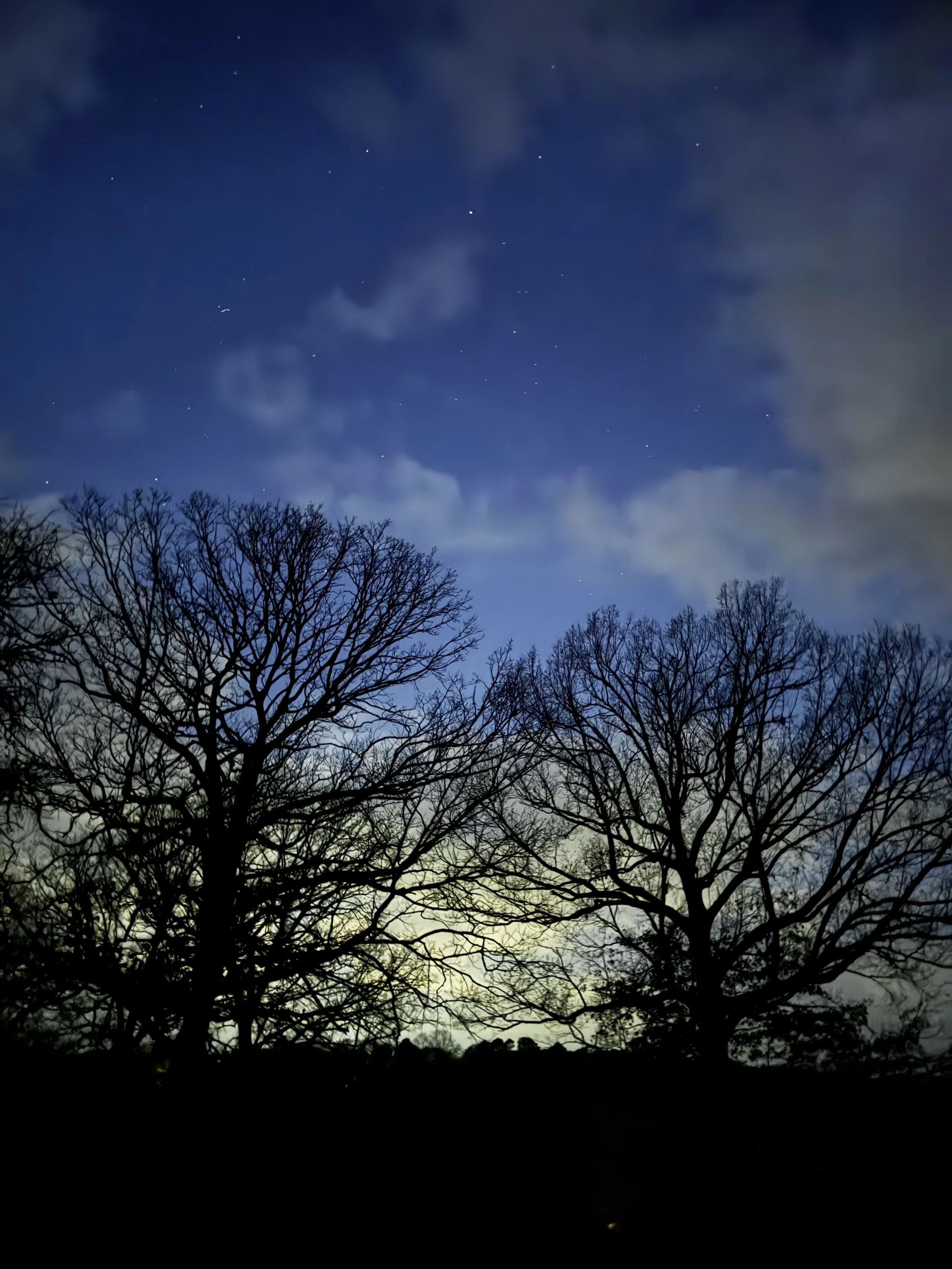 Extended Cut: Yuletide Crickets