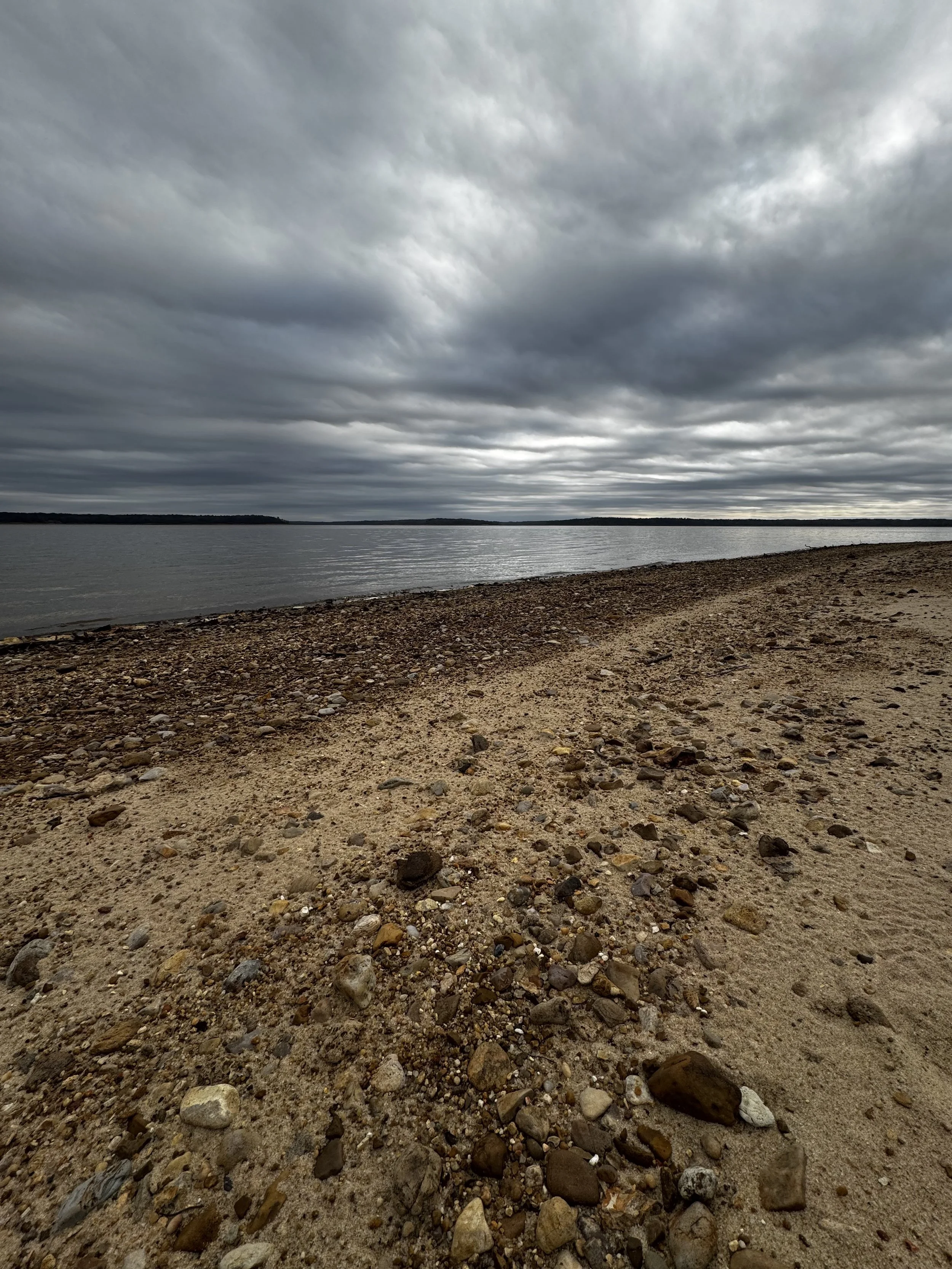 Episode 137: Winter Gulls at Enid Lake