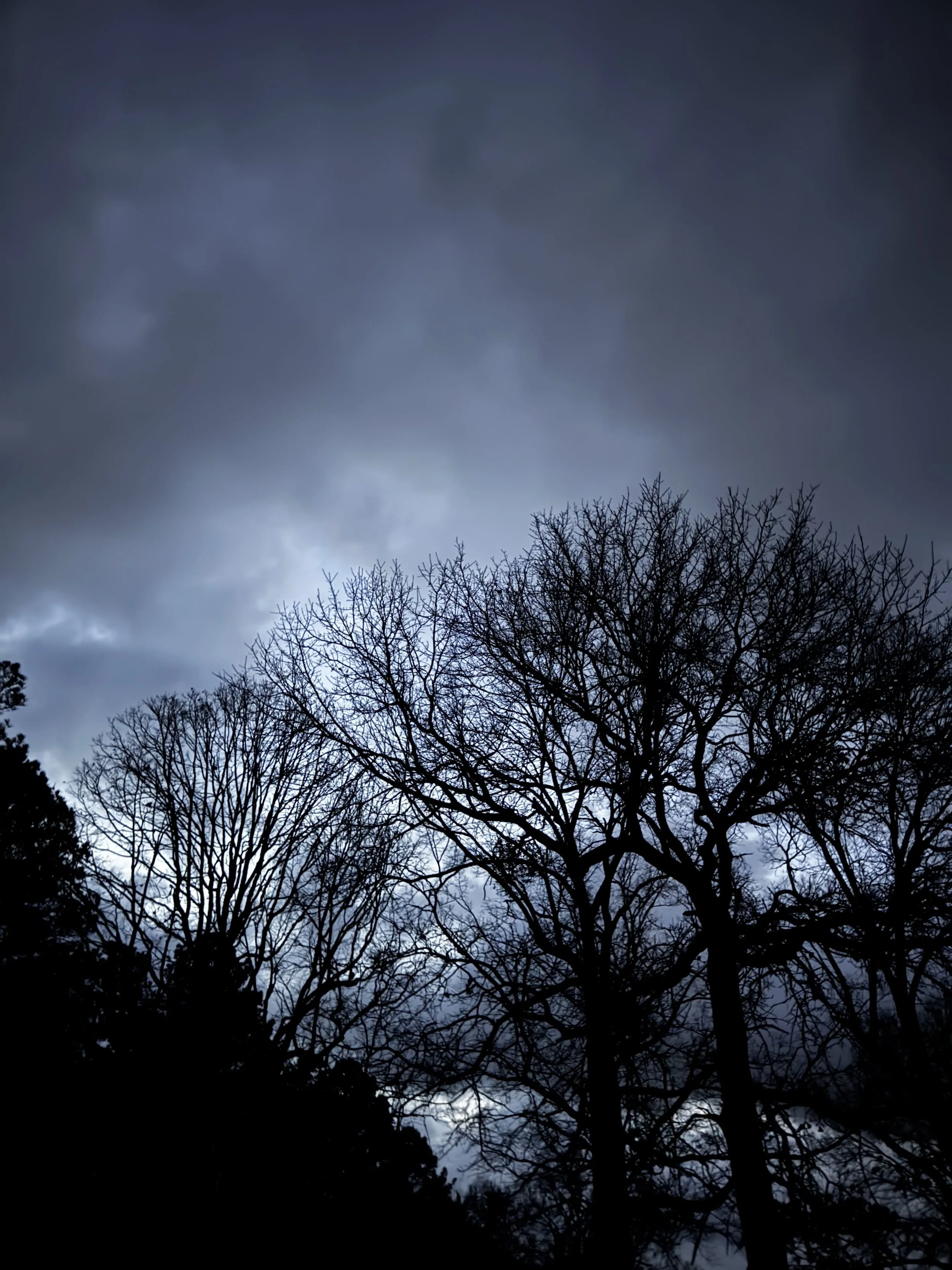 Extended Cut: Soft January Rain on the Sleeping Porch