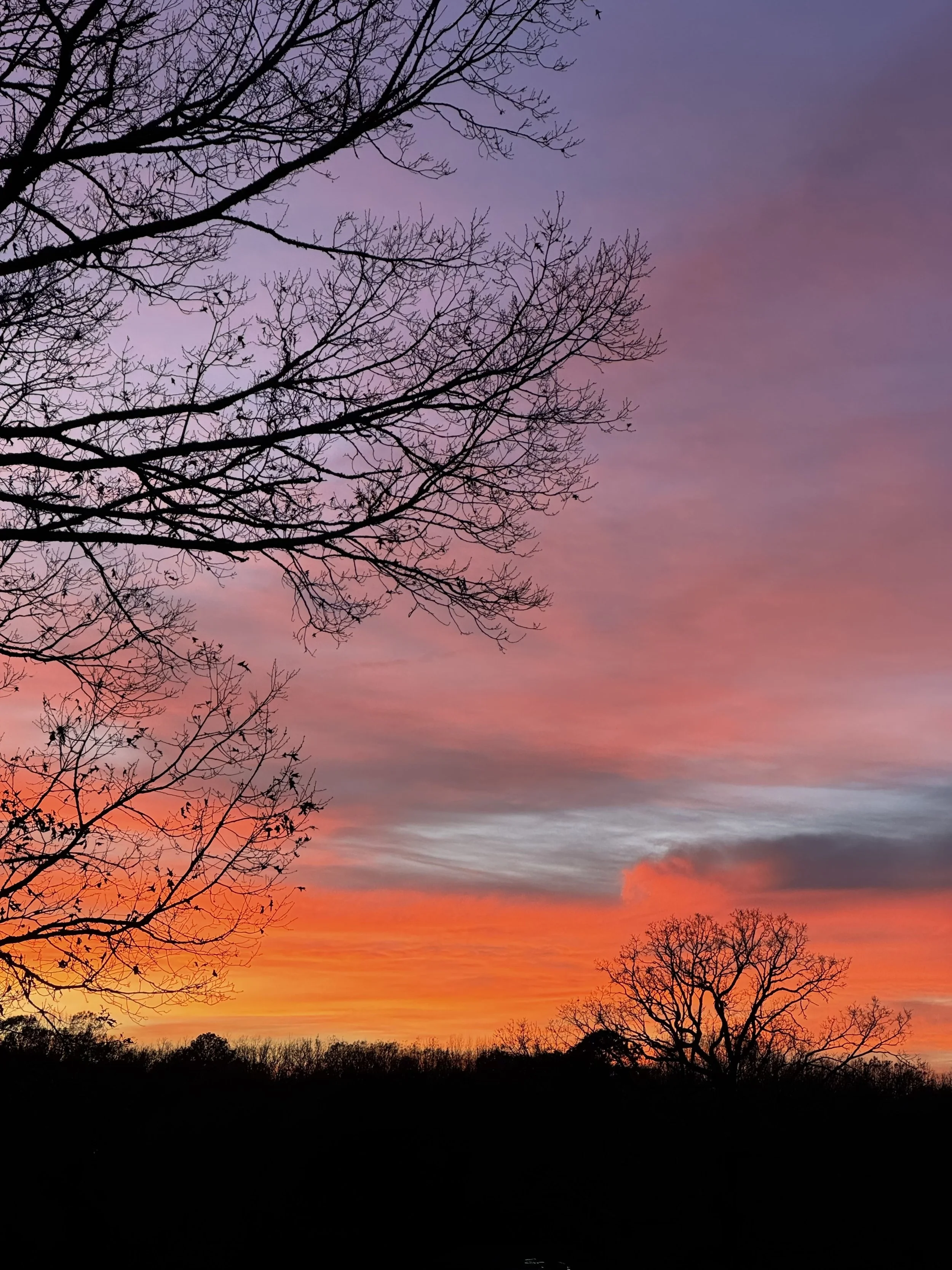 Extended Cut: Raindrum Melody and Winter Sparrows
