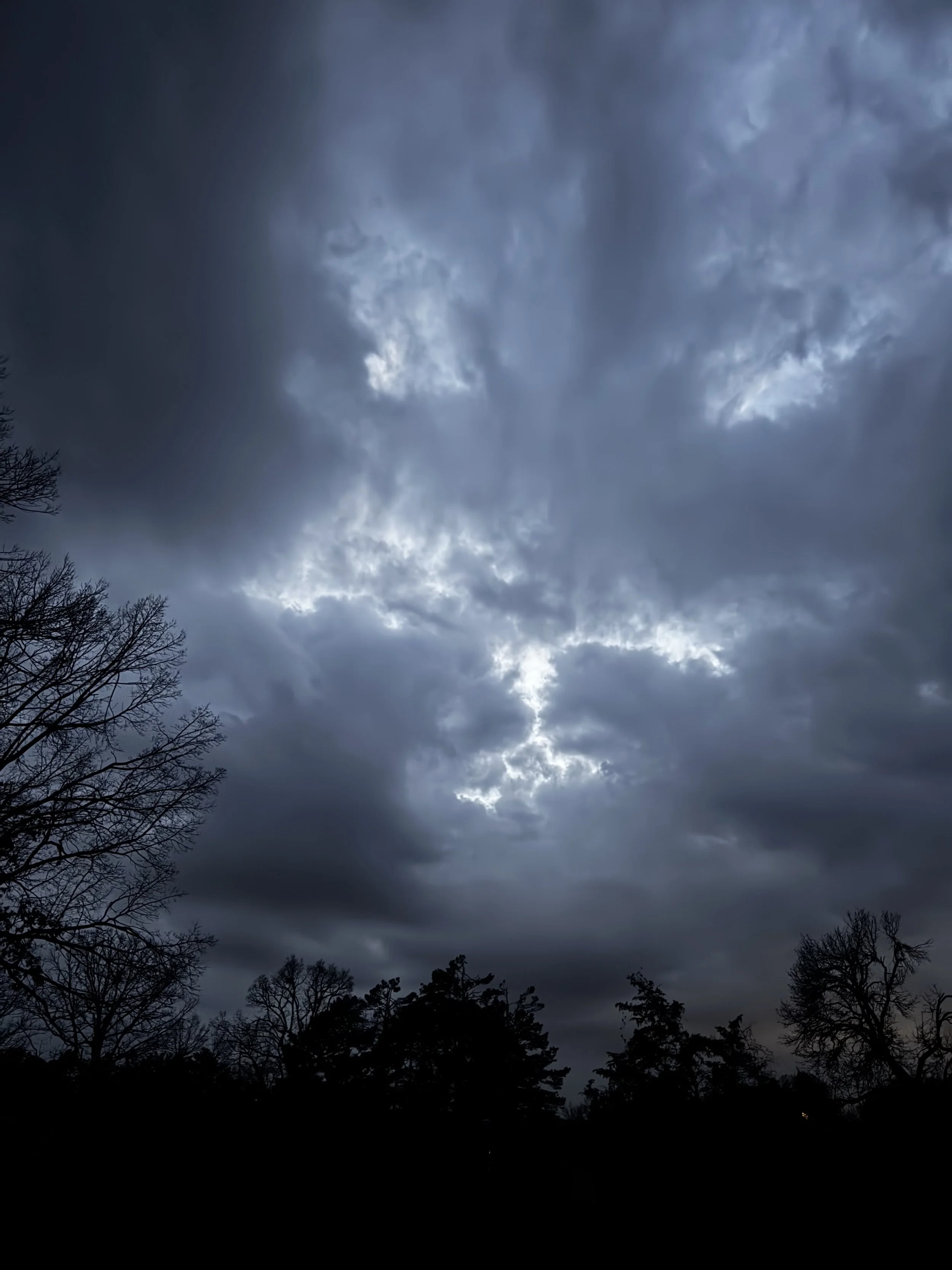 Episode 145: February Frogs &amp; Barred Owl Calls