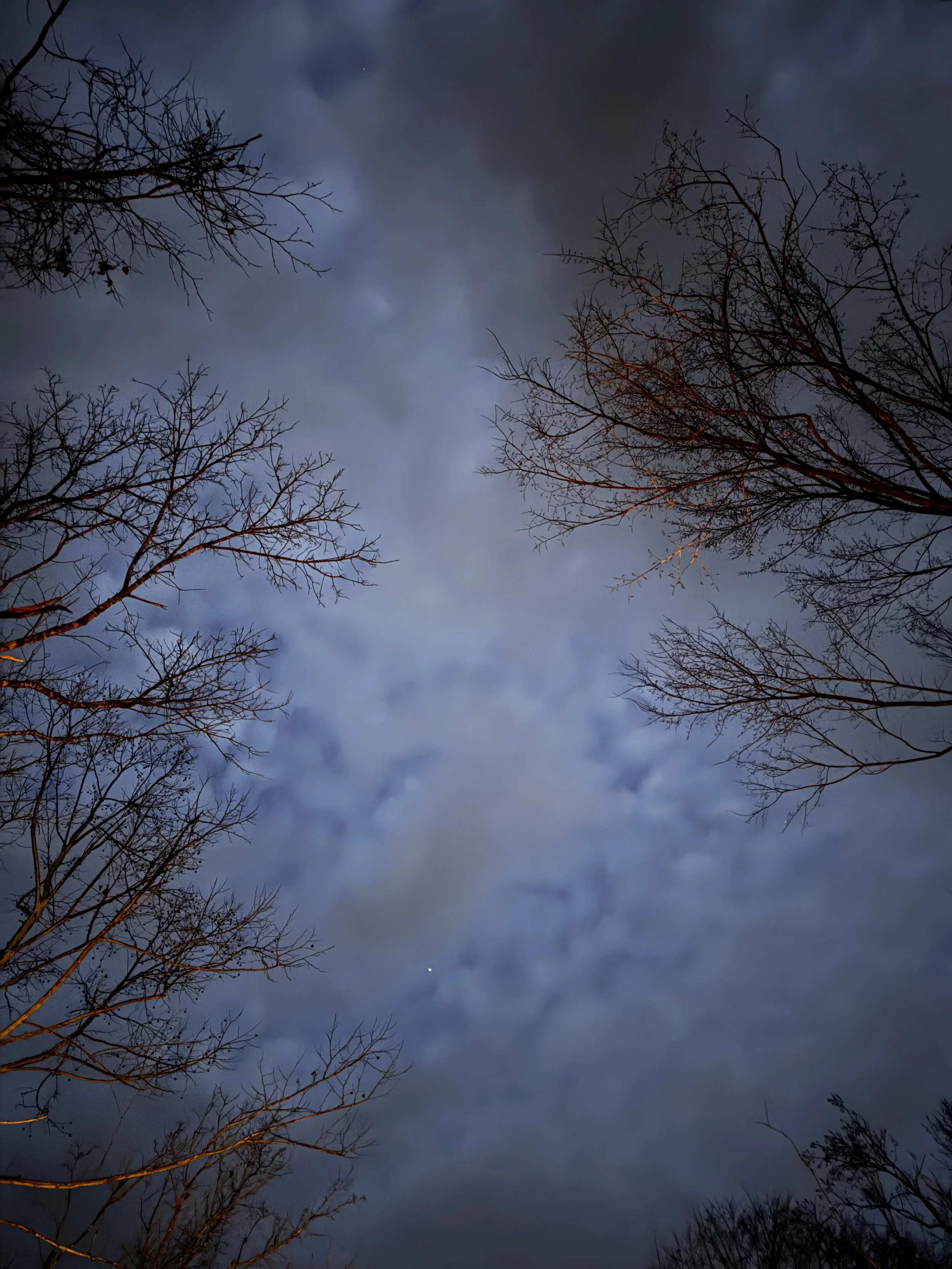 Extended Cut: February Frogs &amp; barred Owl Calls