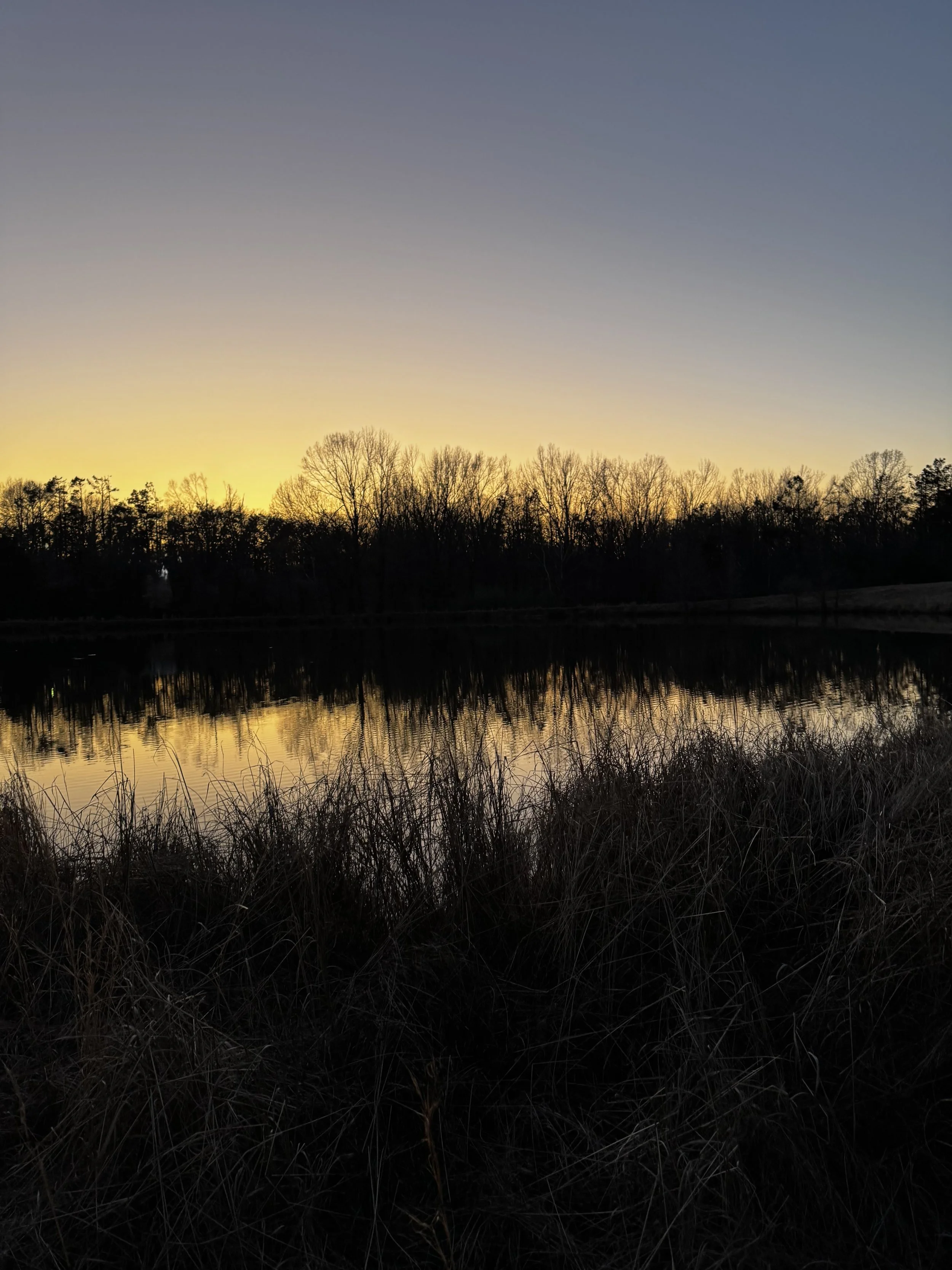 Episode 147: Southern Leopard Frogs on Heart Pond