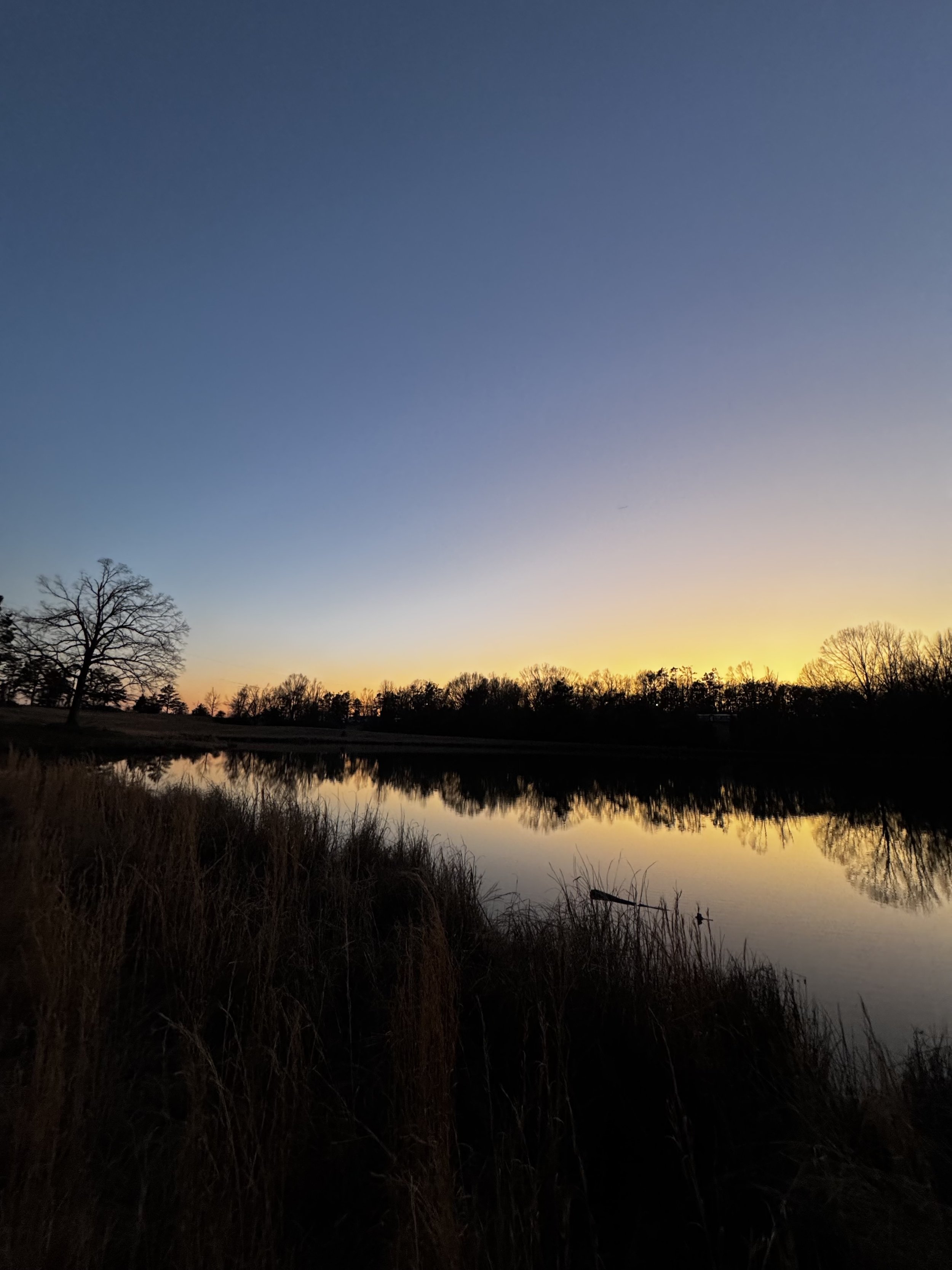 Extended Cut: Southern Leopard Frogs on Heart Pond