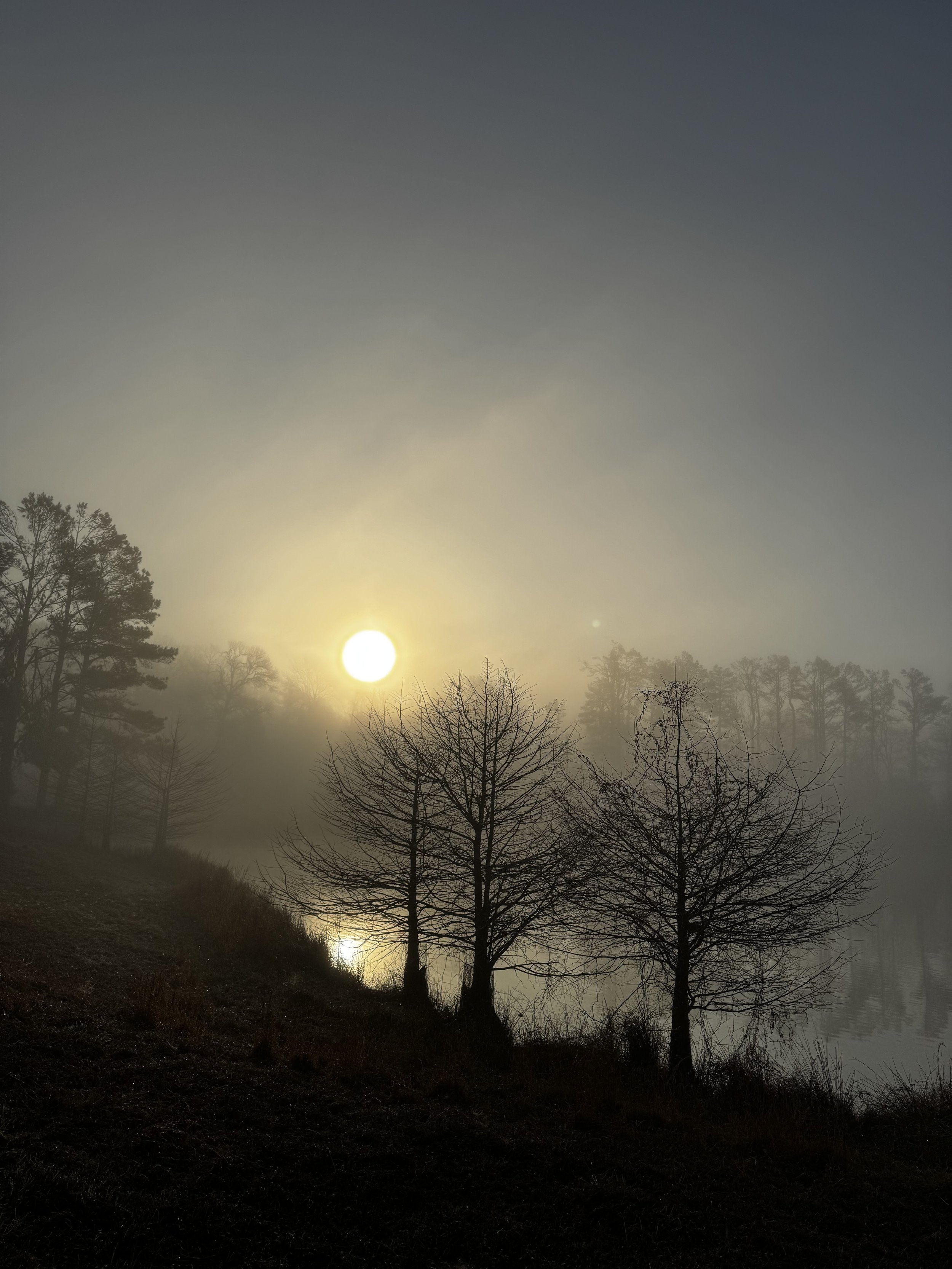 Episode 148: Woodpecker Drumming in the Morning Fog