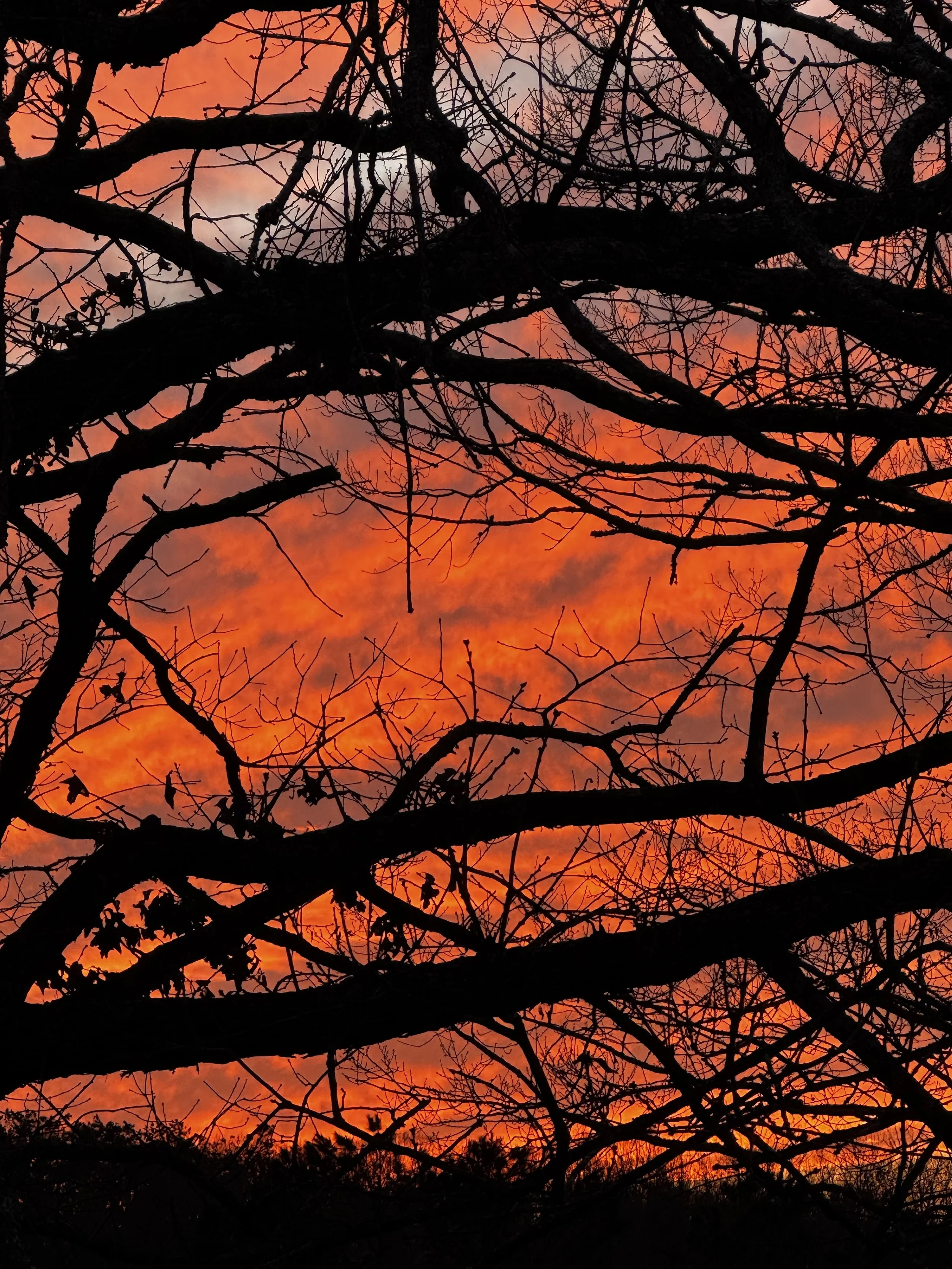 Episode 149: March Thundershower on the Sleeping Porch