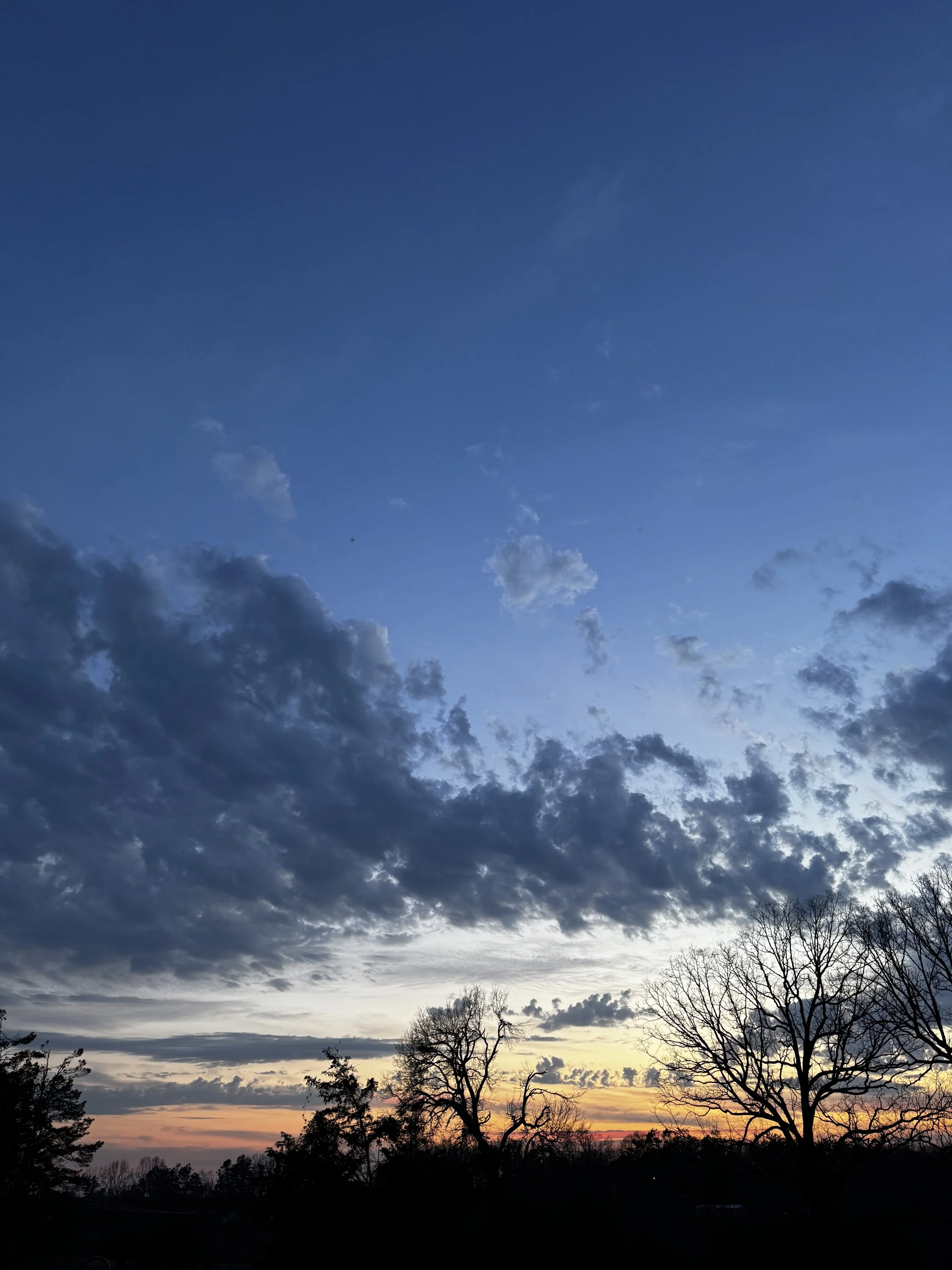 Episode 153: Spring Peepers after the Rain