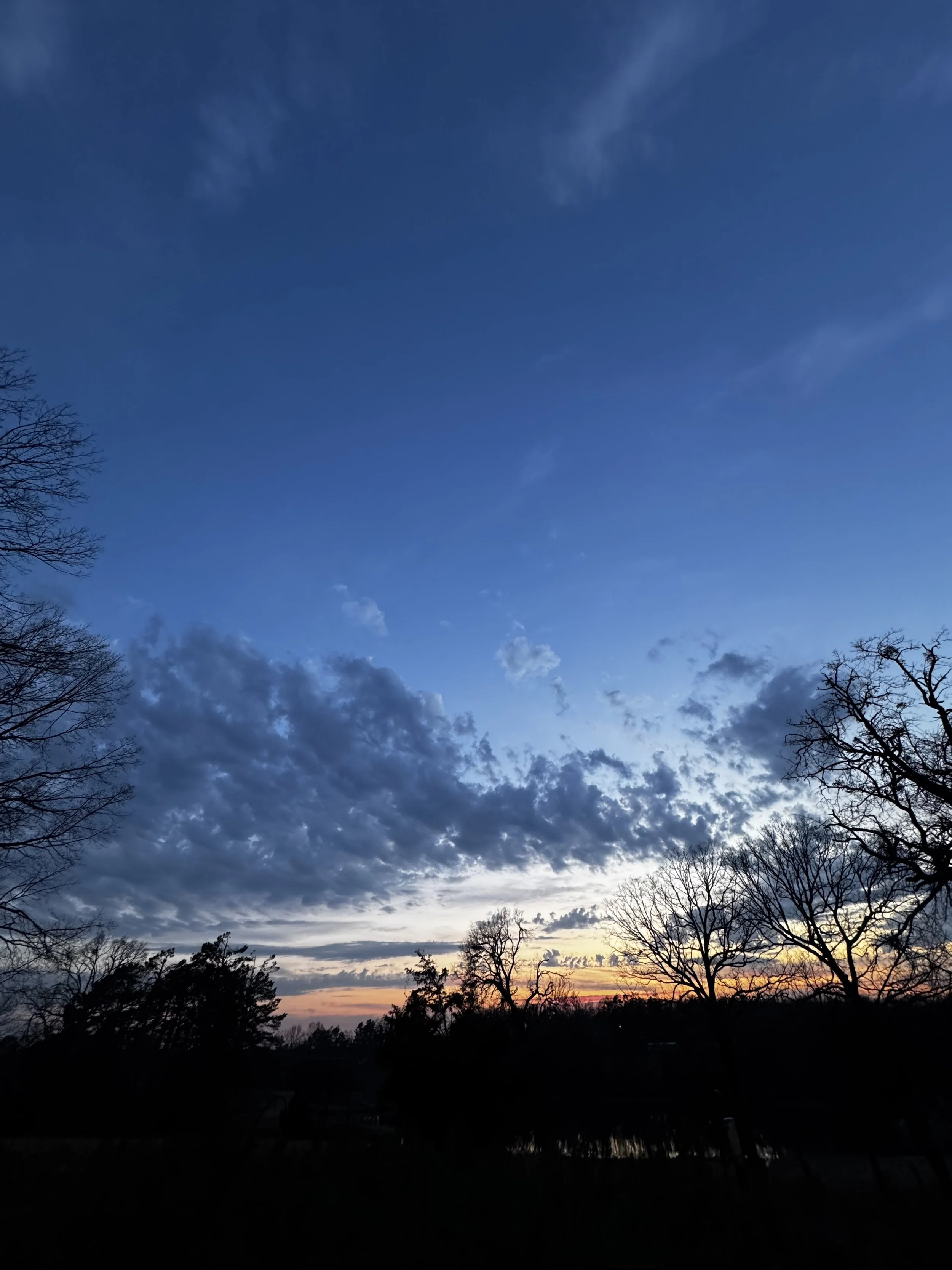 Extended Cut: Spring Peepers after the Rain