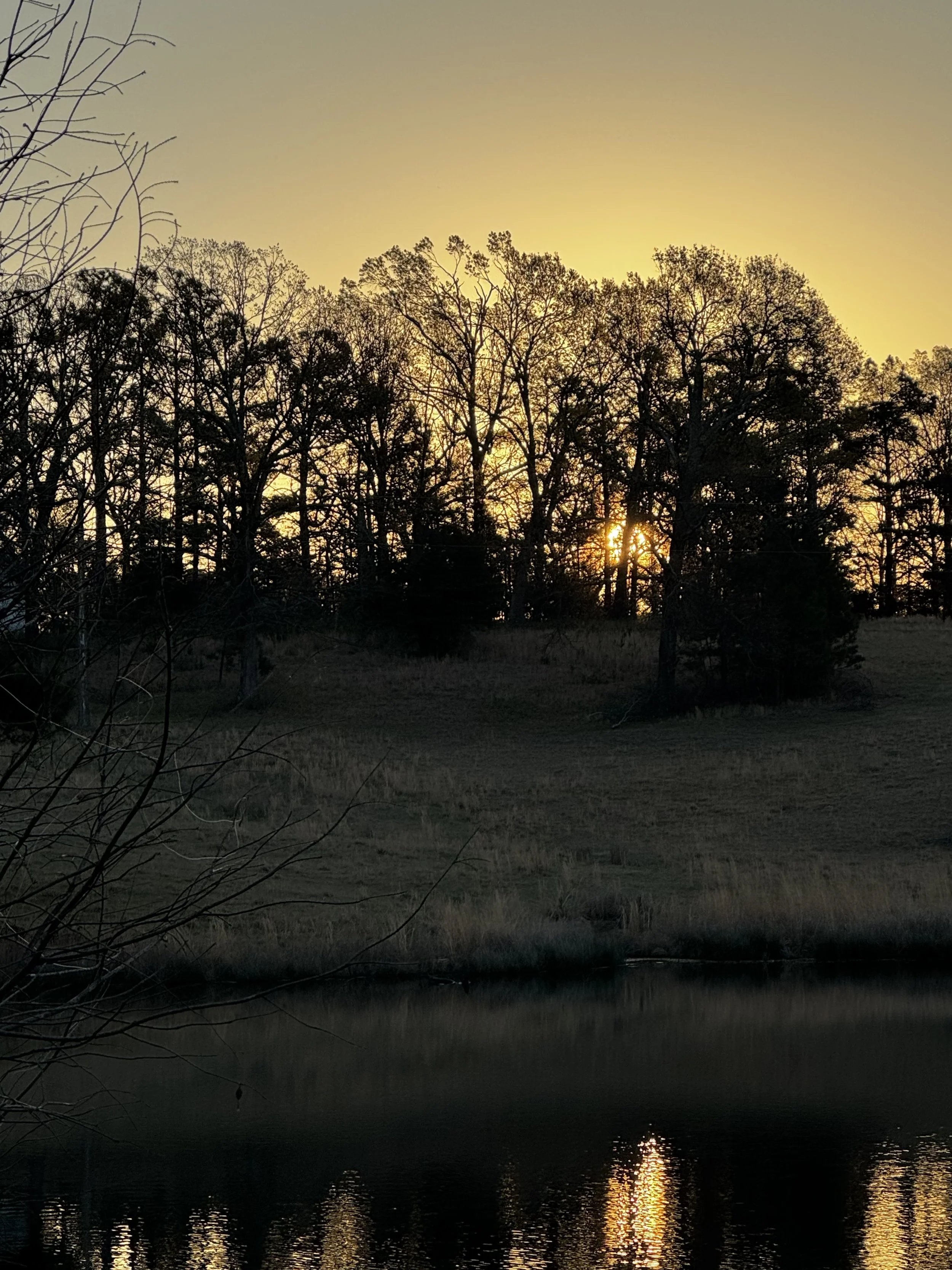 Episode 154: Wild Geese in the Golden Dawn