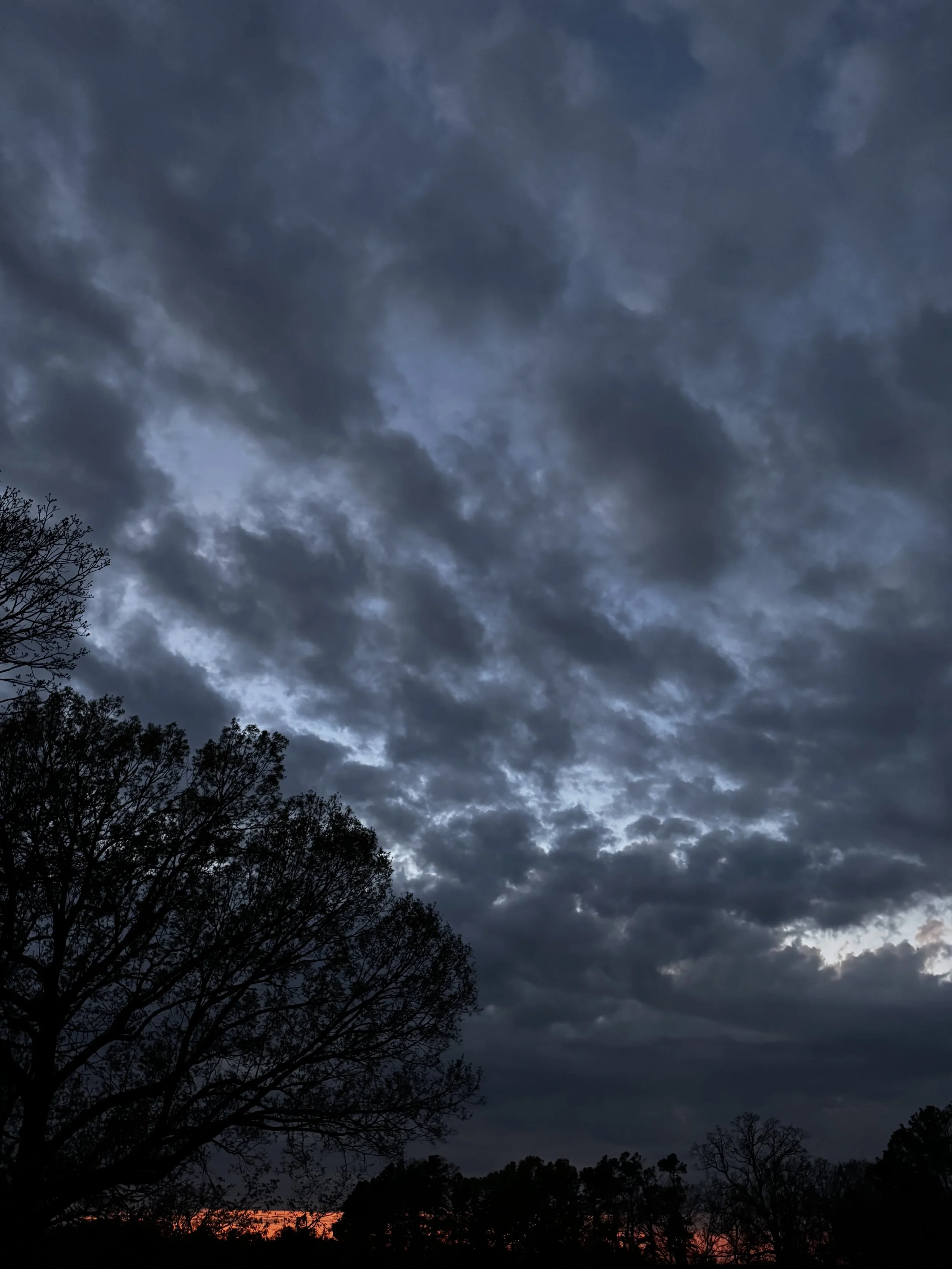 Episode 155: Early Spring Blue Hour with Cricket Song