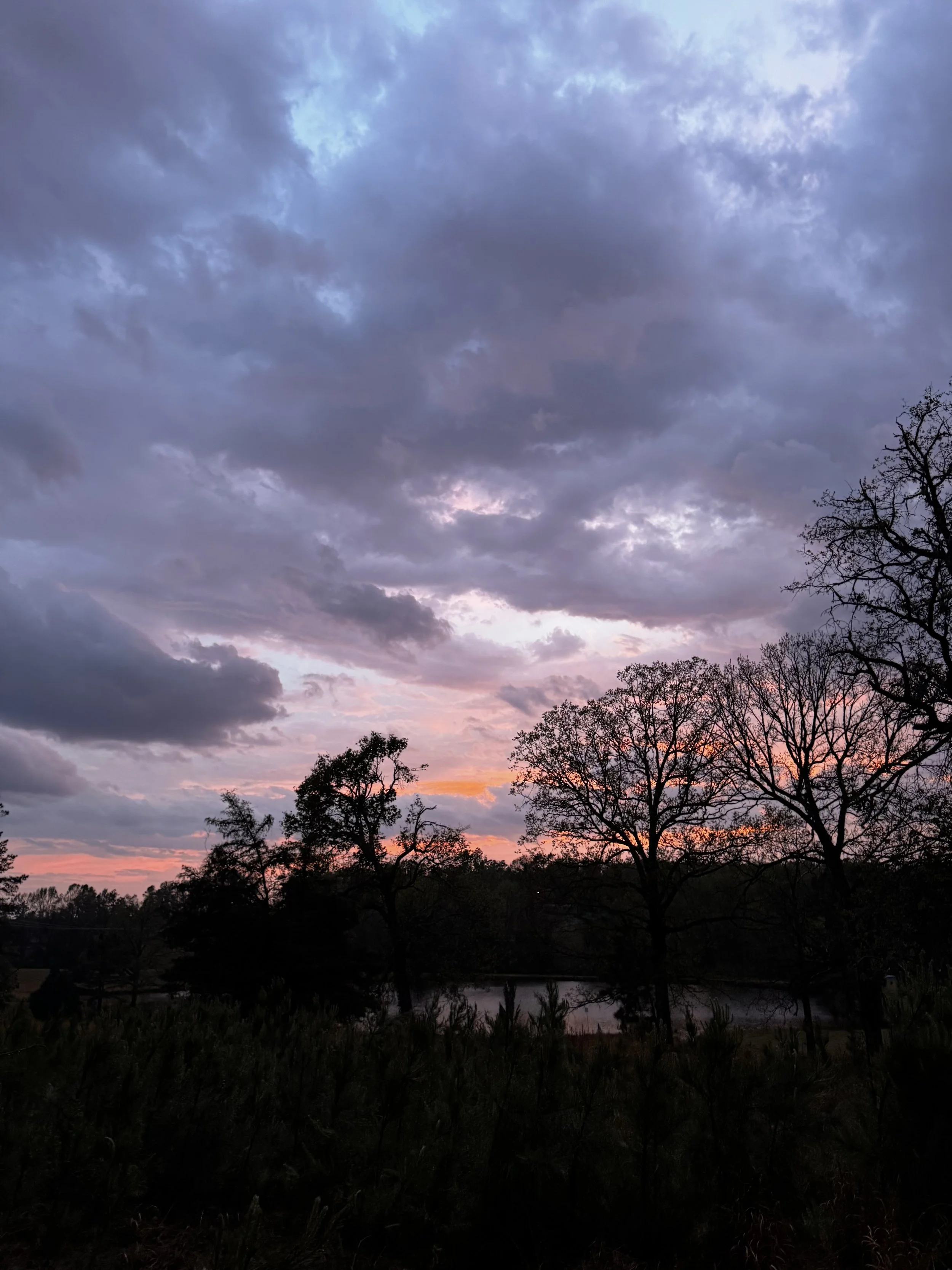 Extended Cut: Soft Rain from the Cotton Candy Sky