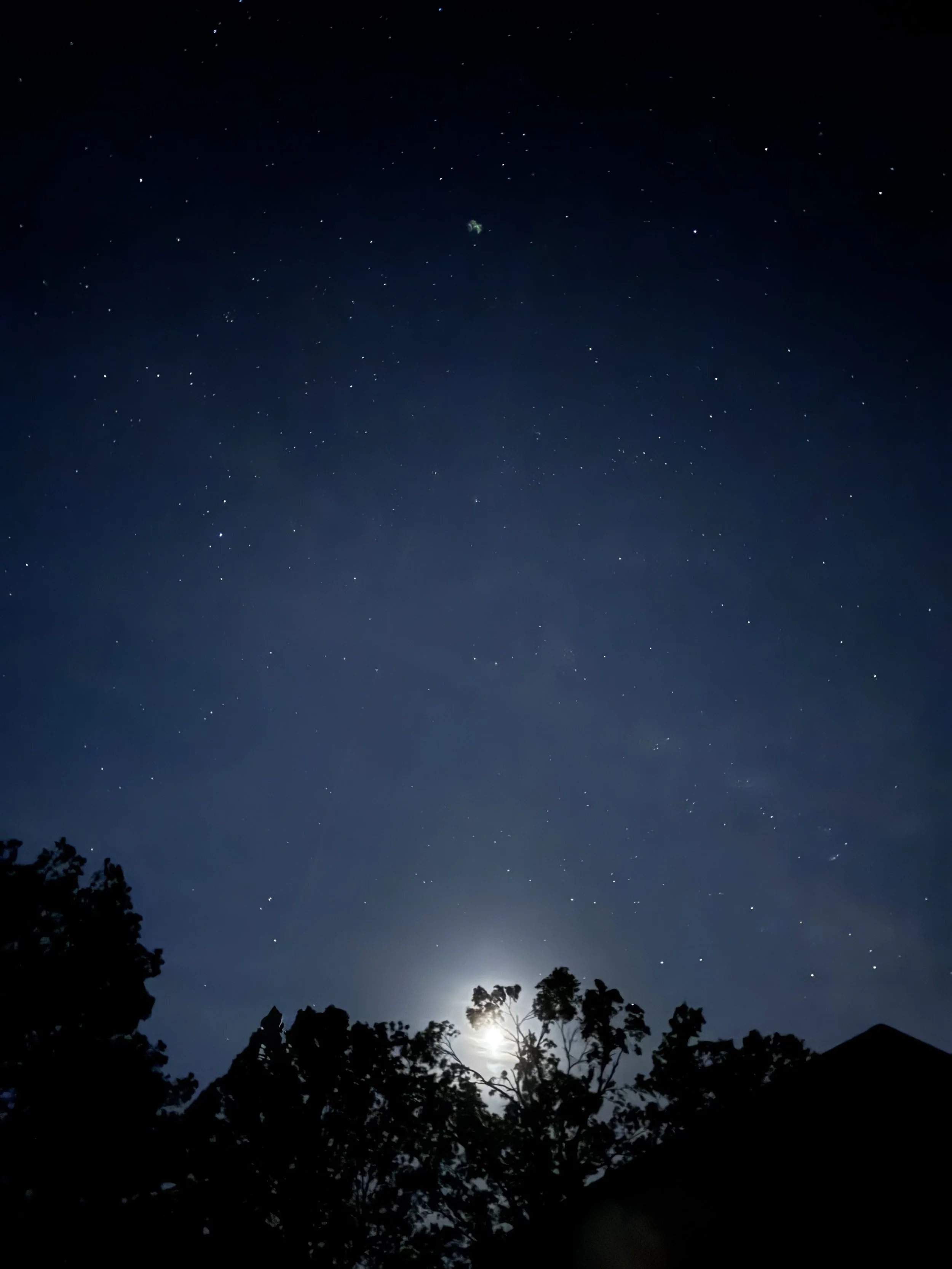 Episode 160: Howling Coyote under April’s Third Quarter Moon