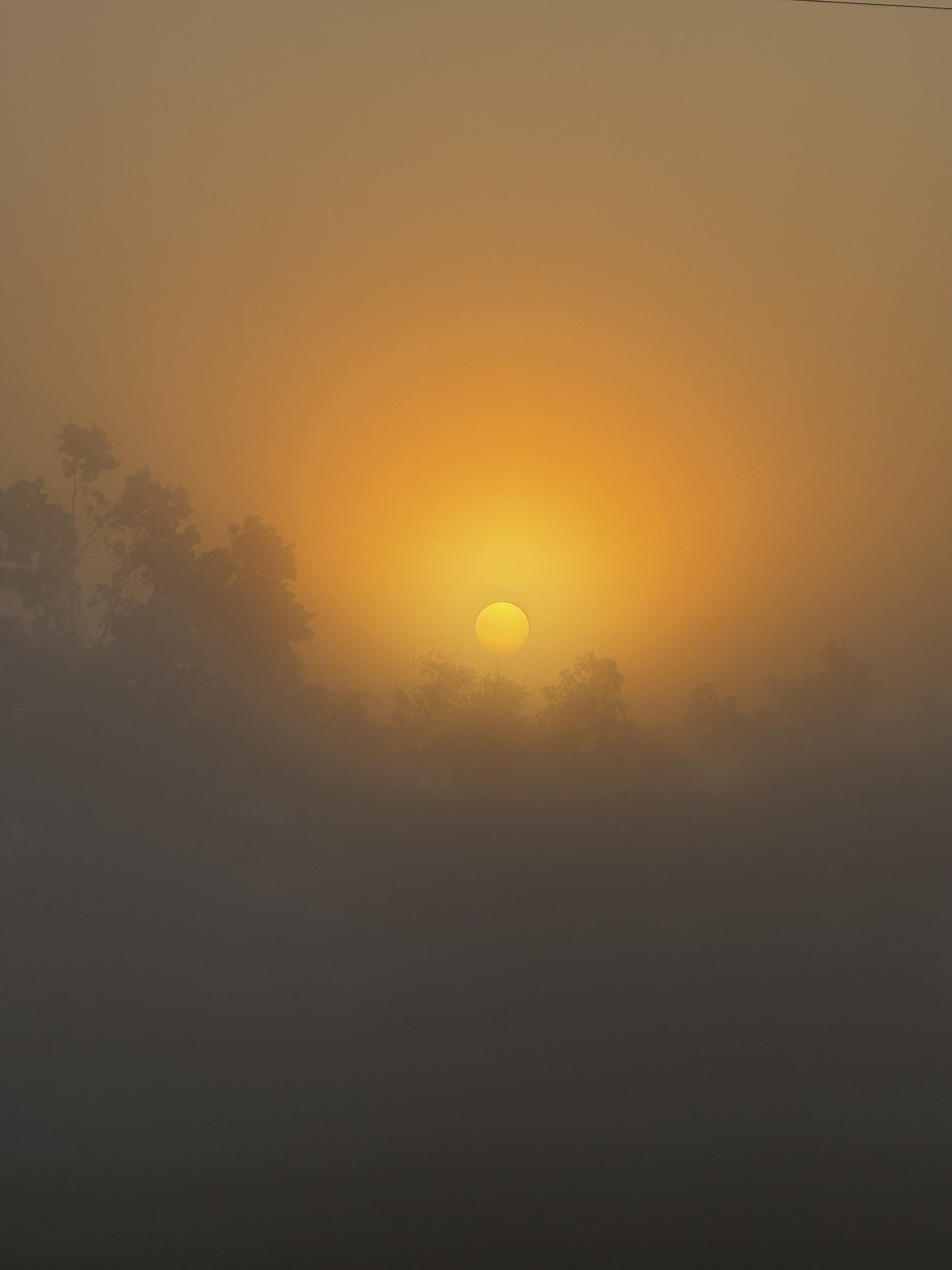 Episode 163: Warbler Stream on the Tallahatchie