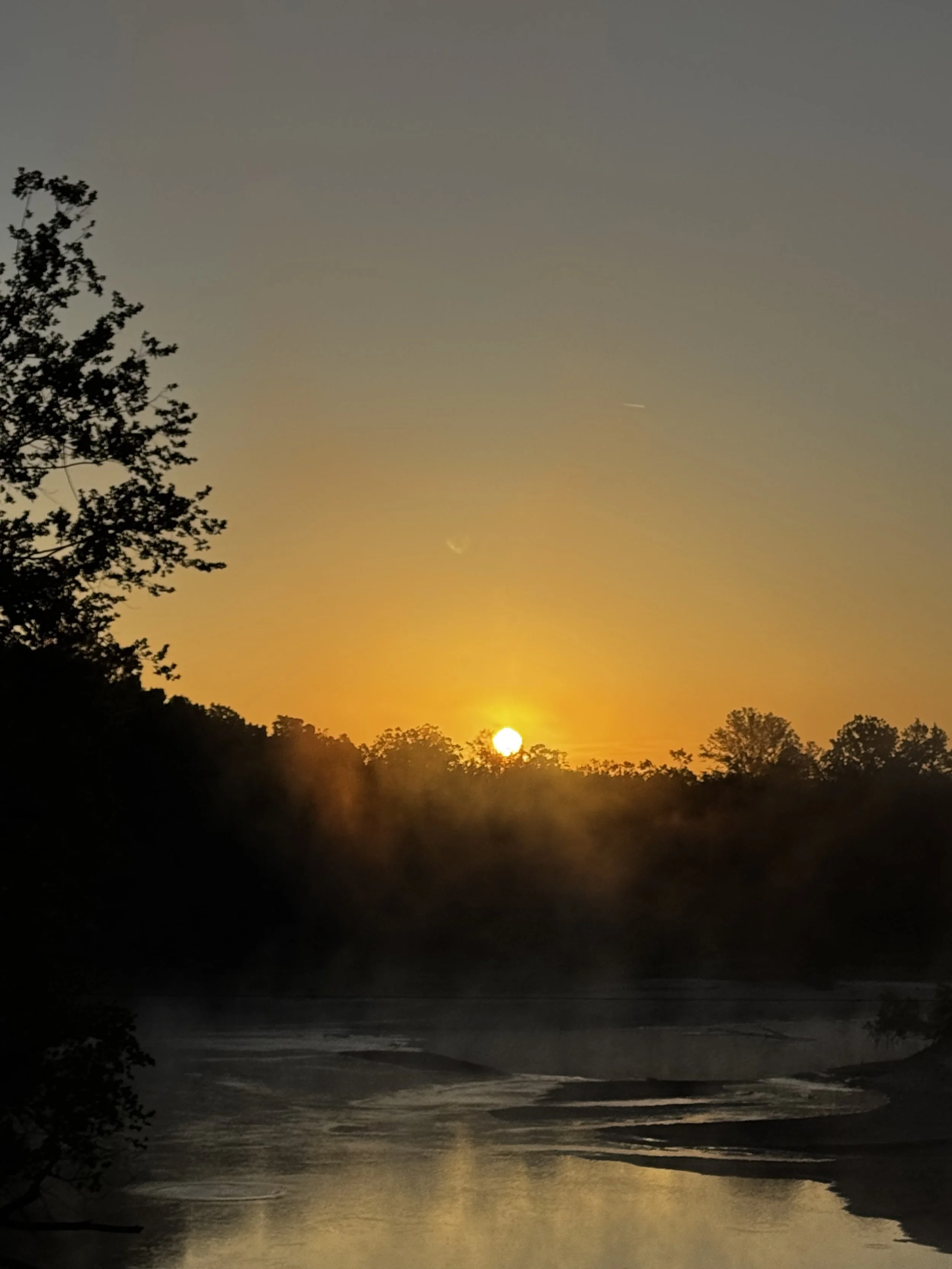 Extended Cut: Warbler Stream on the Tallahatchie
