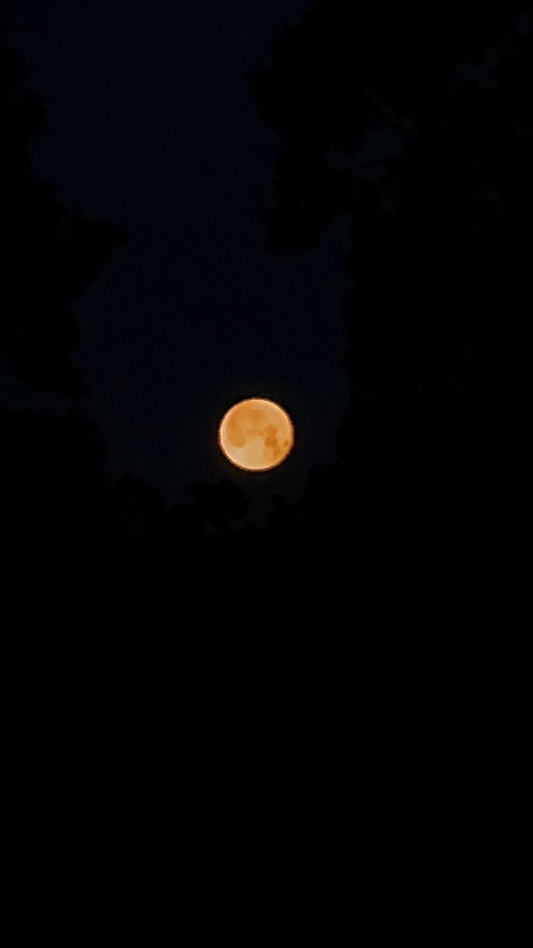 Extended Cut: Cricket &amp; Frog Lullaby under the Full Flower Moon