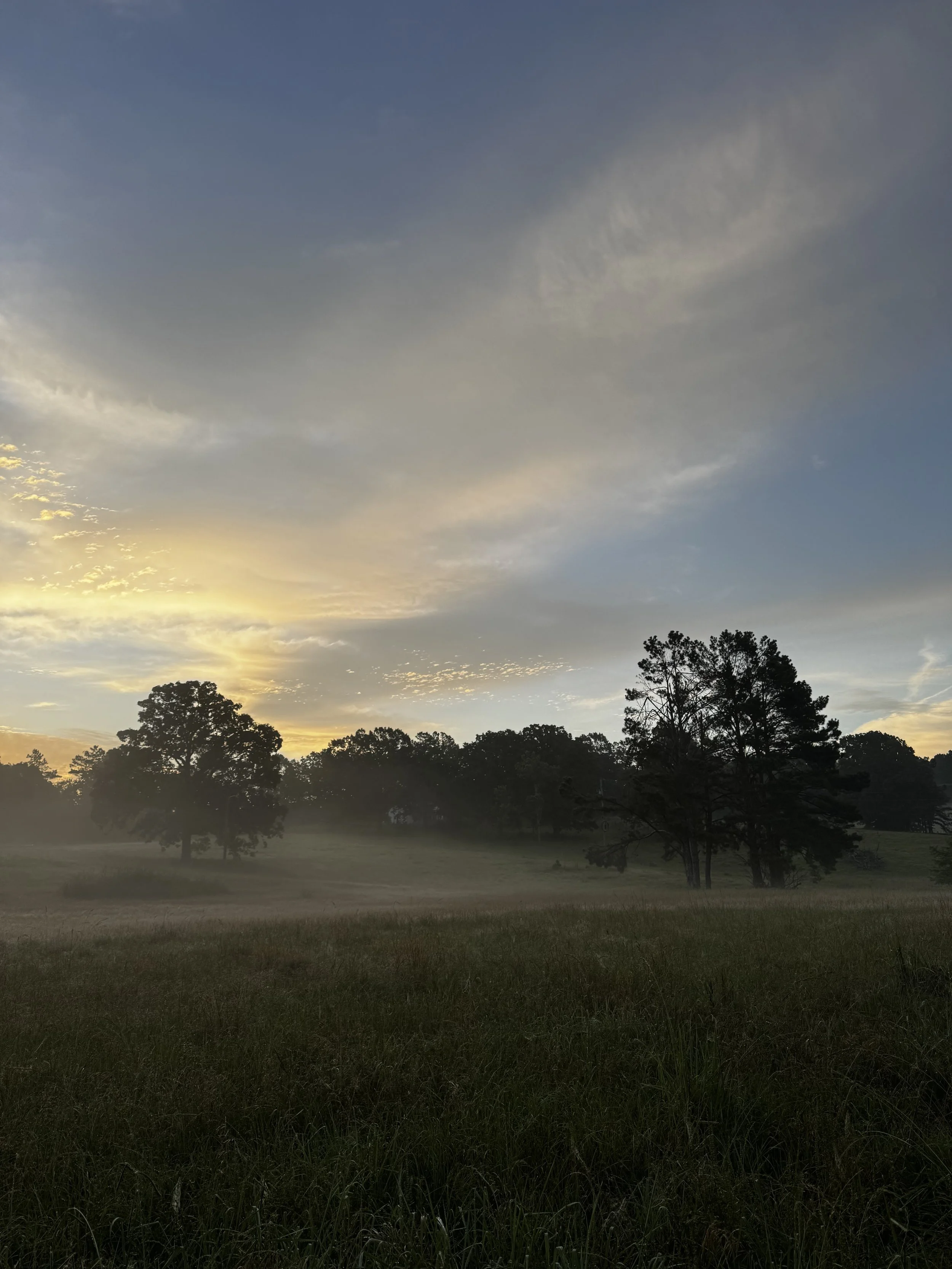 Episode 174: Indigo Bunting in the Dawn Pasture