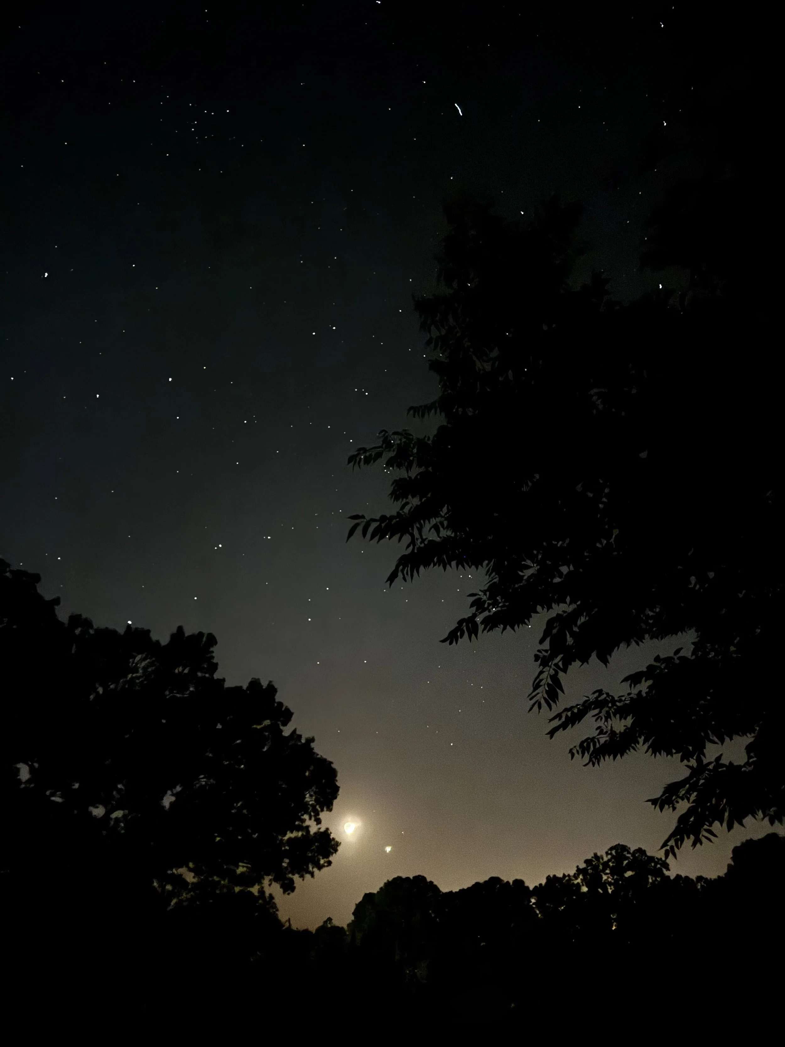 Episode 178: Crickets &amp; Cicadas under the Crescent Moon