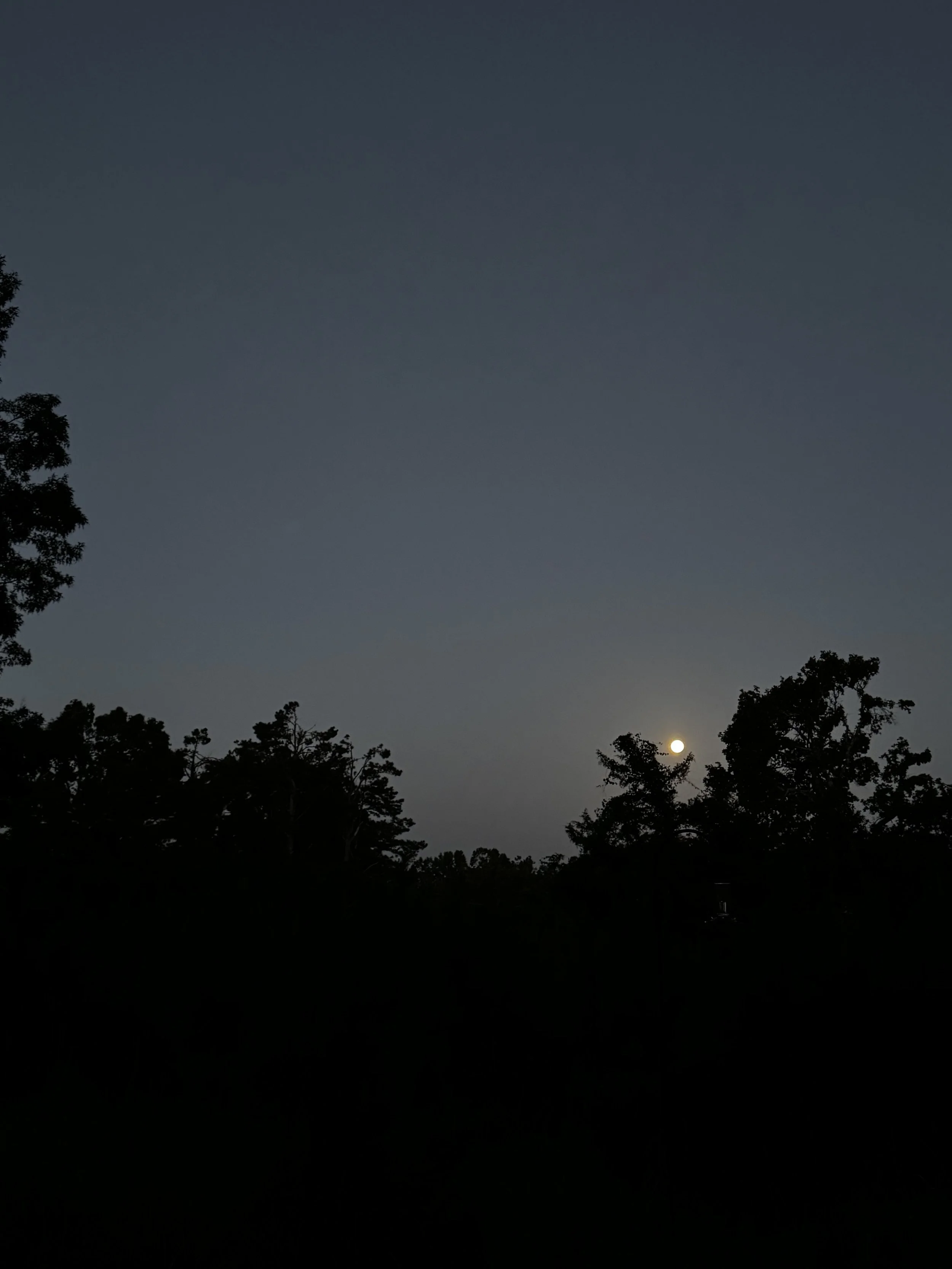 Episode 182: Insect Chorus under a Strawberry Moon