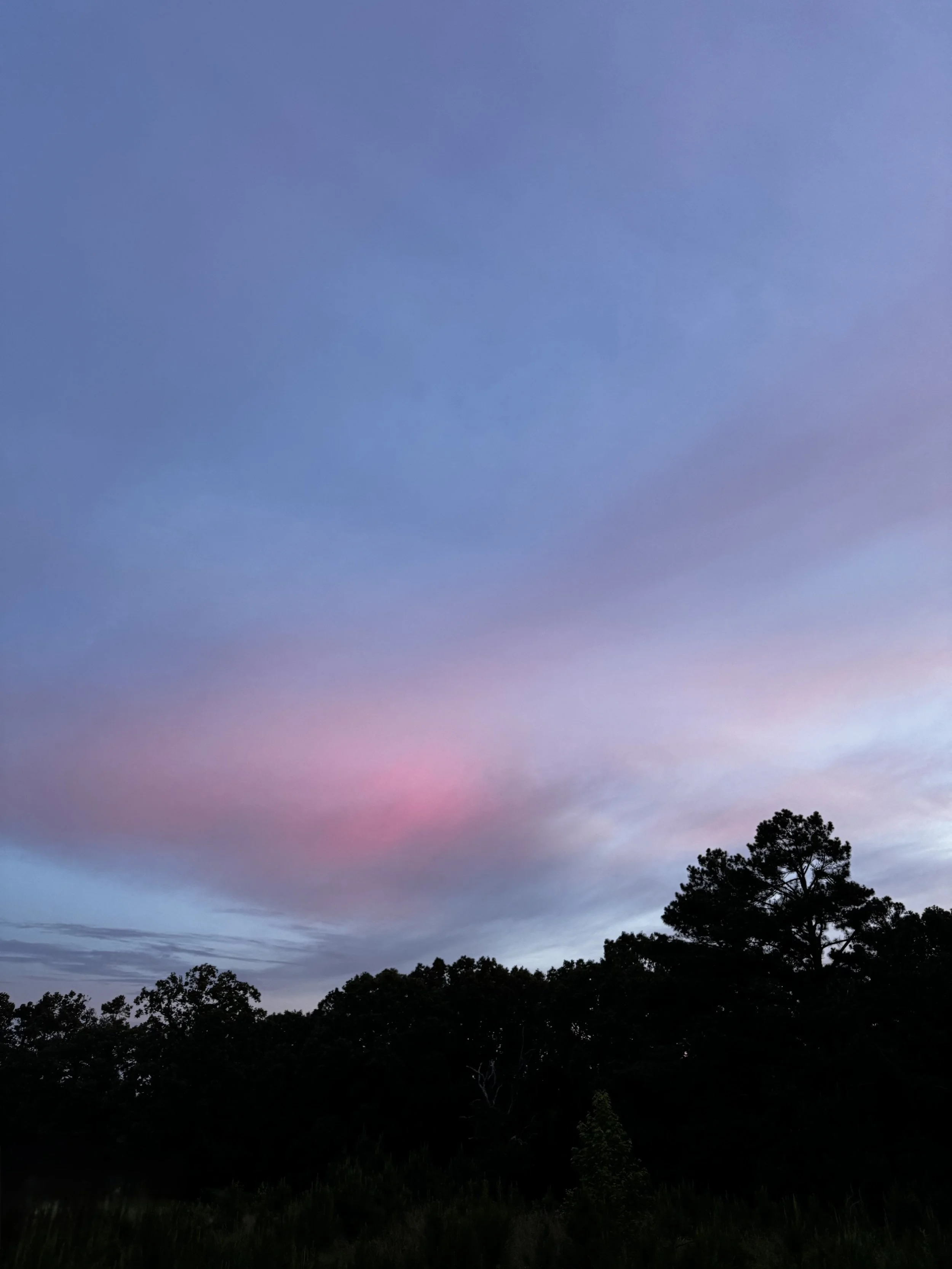 Episode 183: Bluebird Dawn Song