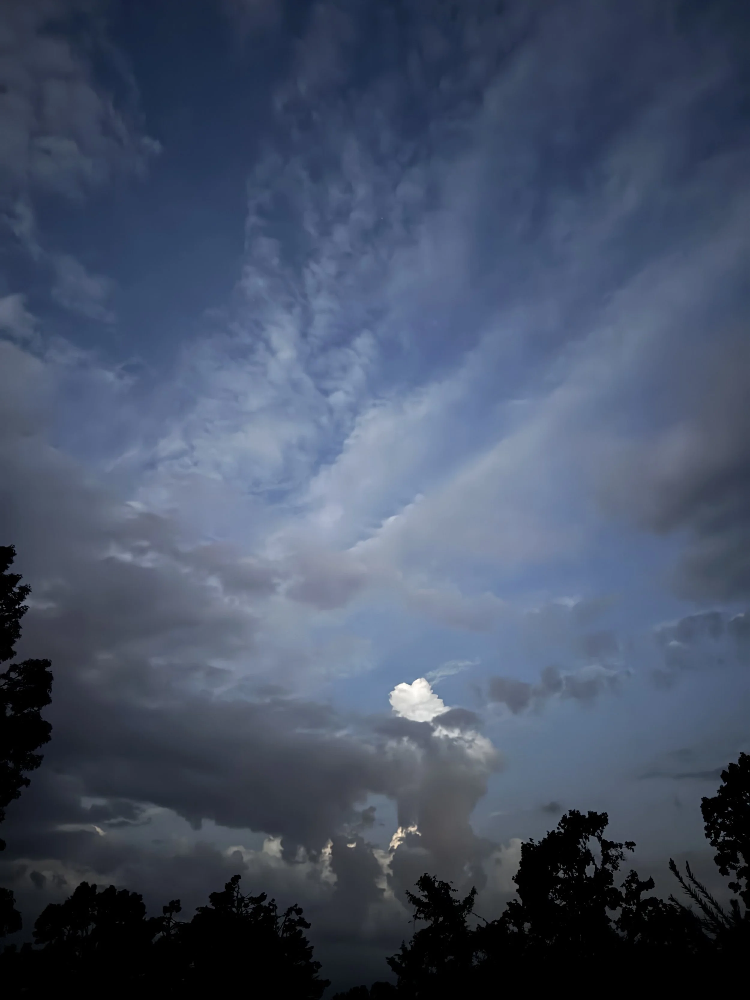 Episode 184: Meadow Katydids &amp; Rolling Thunder
