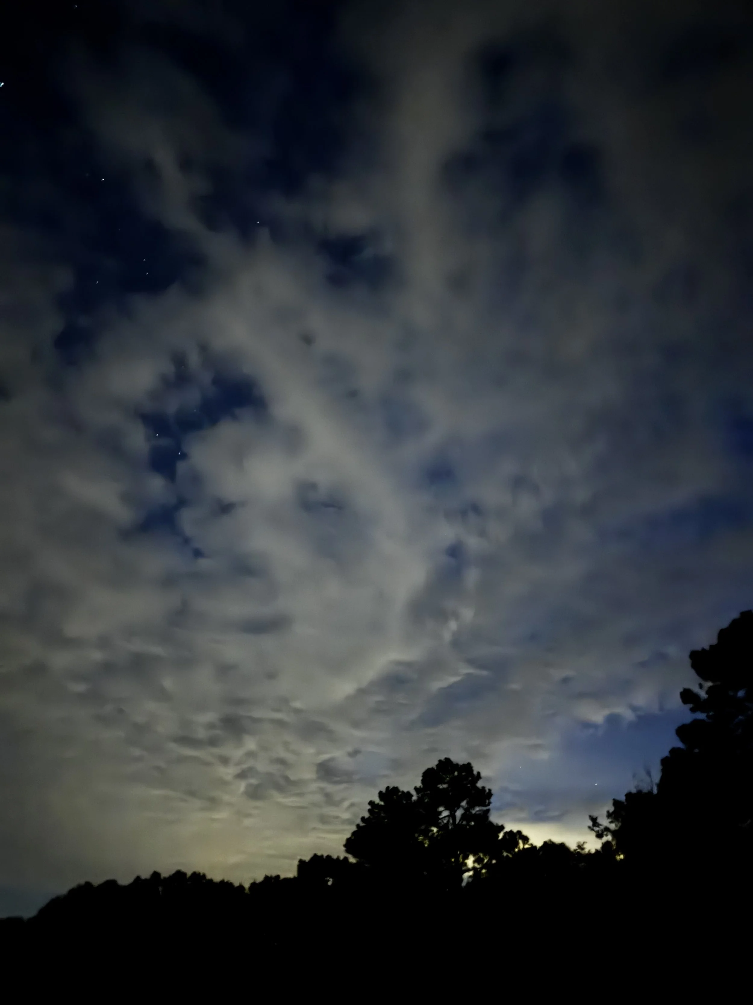 Episode 187: Eastern Wood-Pewee at Blue Hour