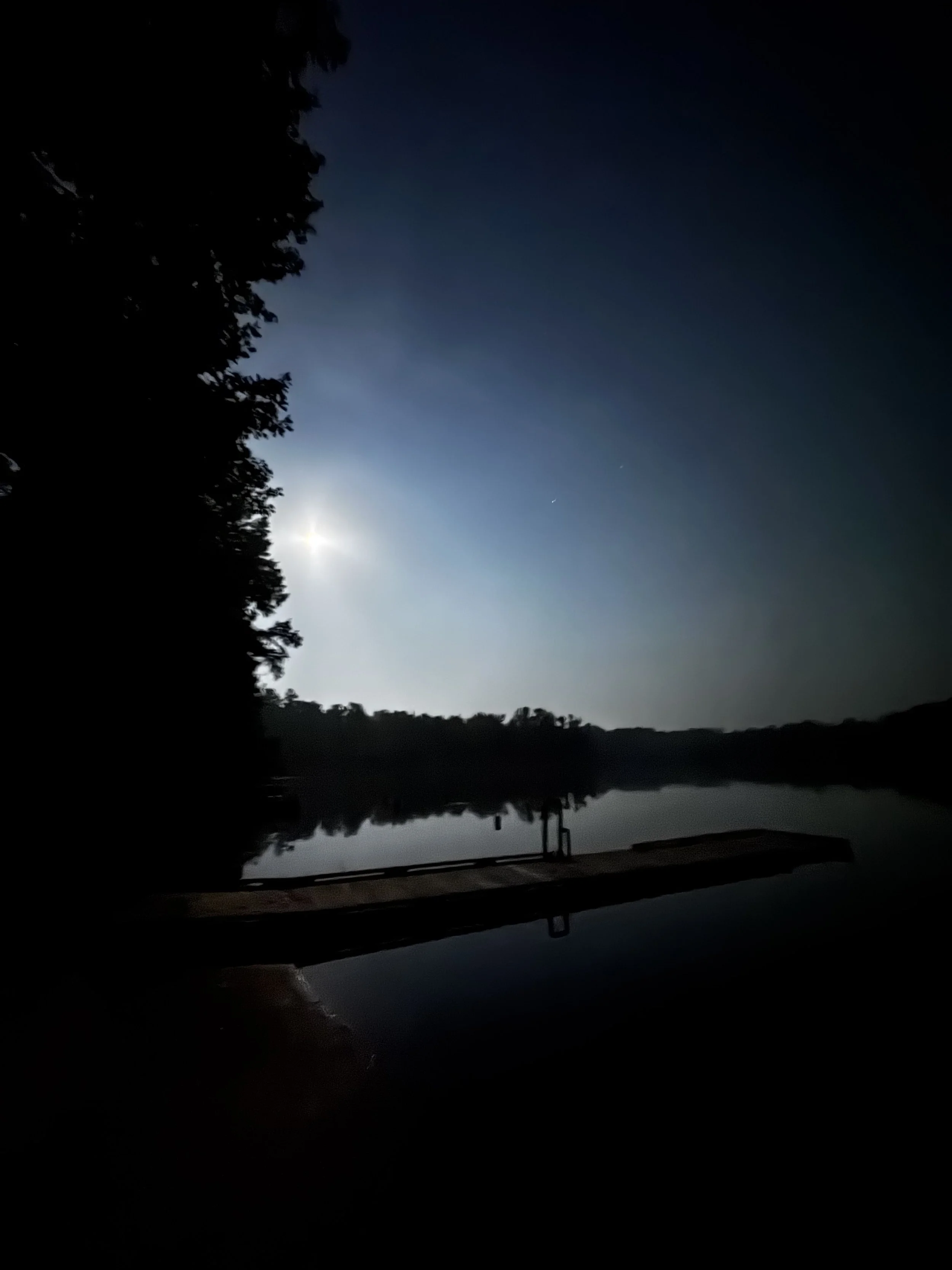 Episode 190: Summer Frog Chorus in the Wall Doxey Woods