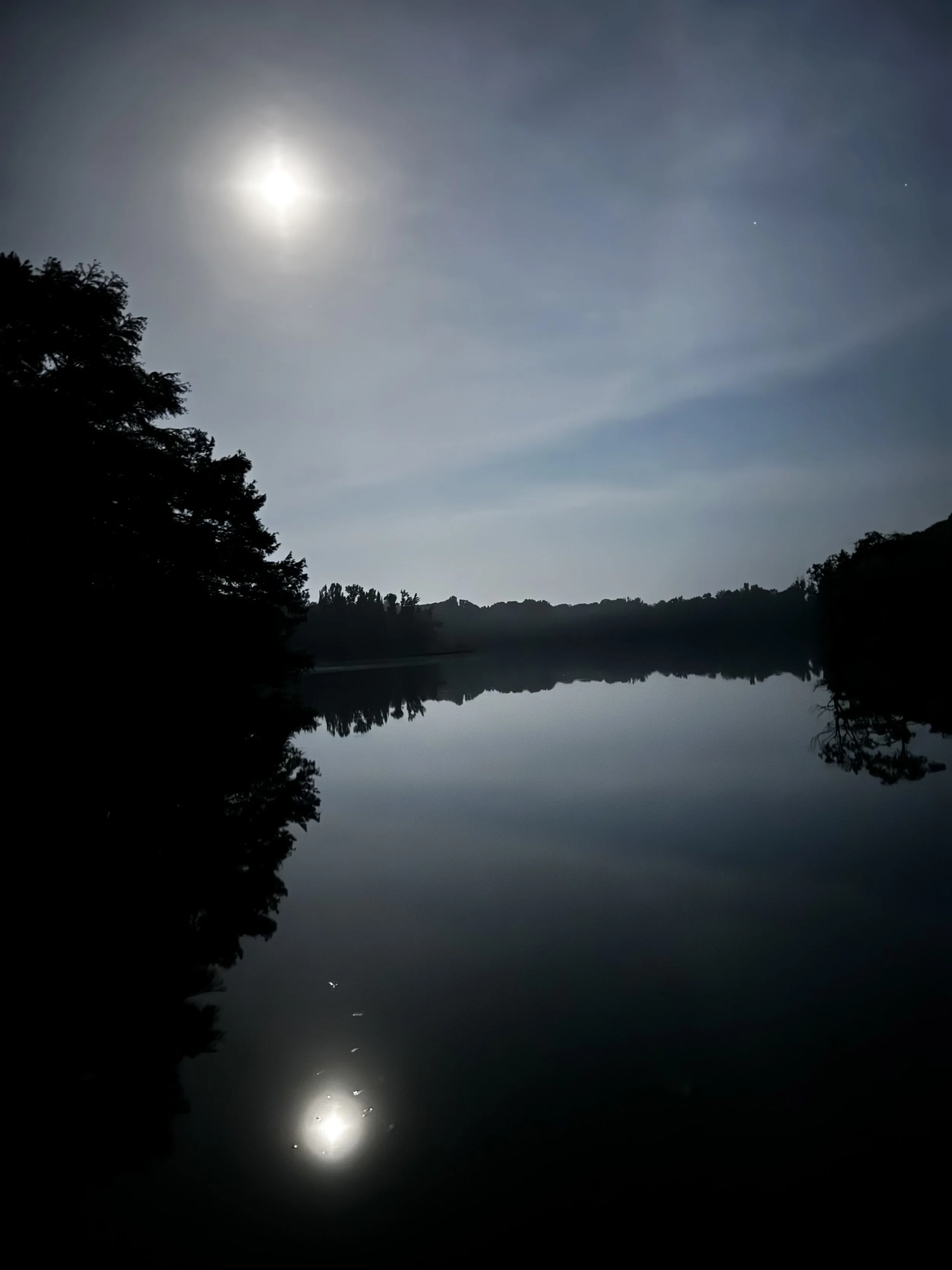 Extended Cut: Summer Frog Chorus in the Wall Doxey Woods