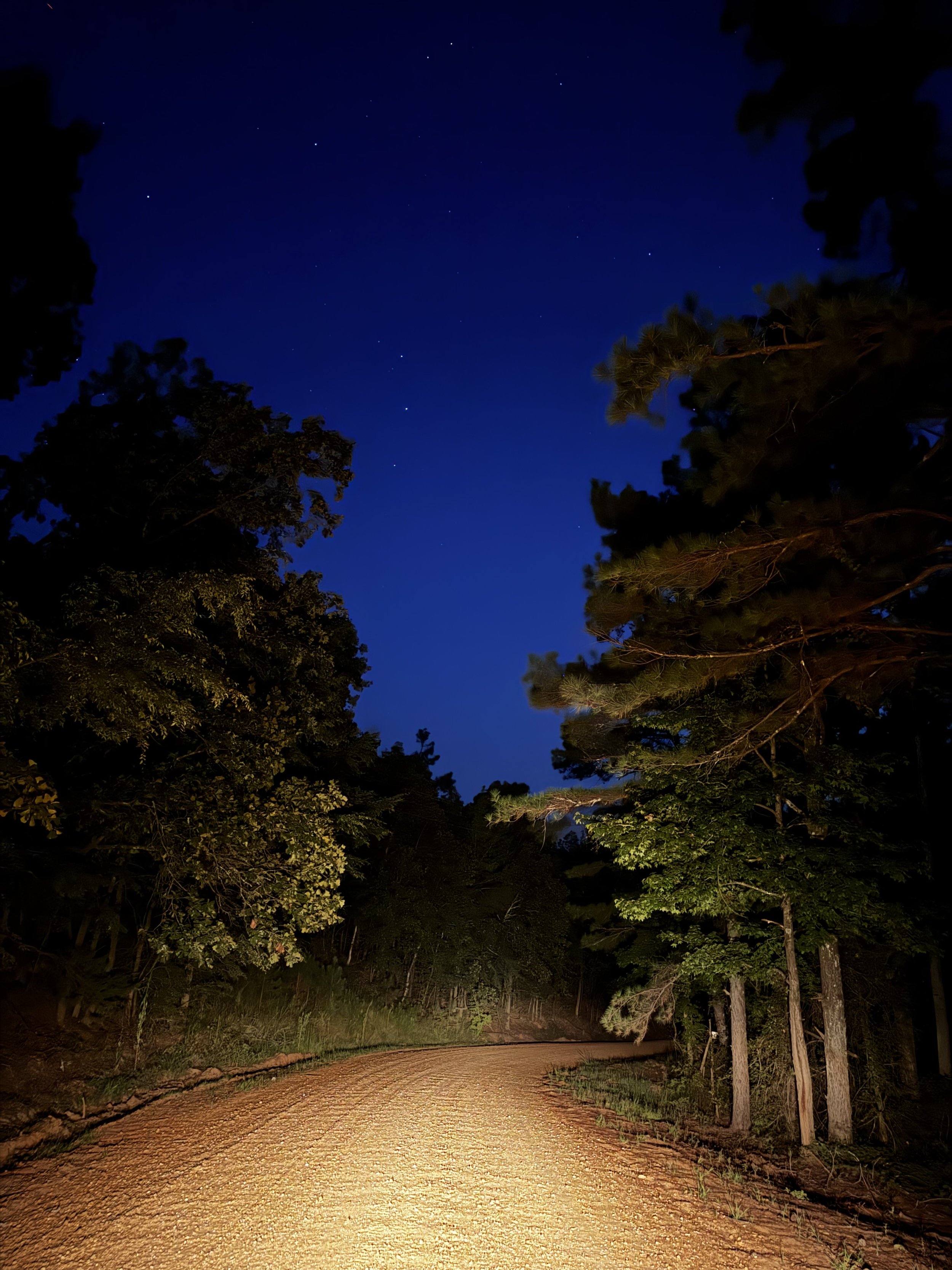 Episode 191: Summer Song on the Backroads