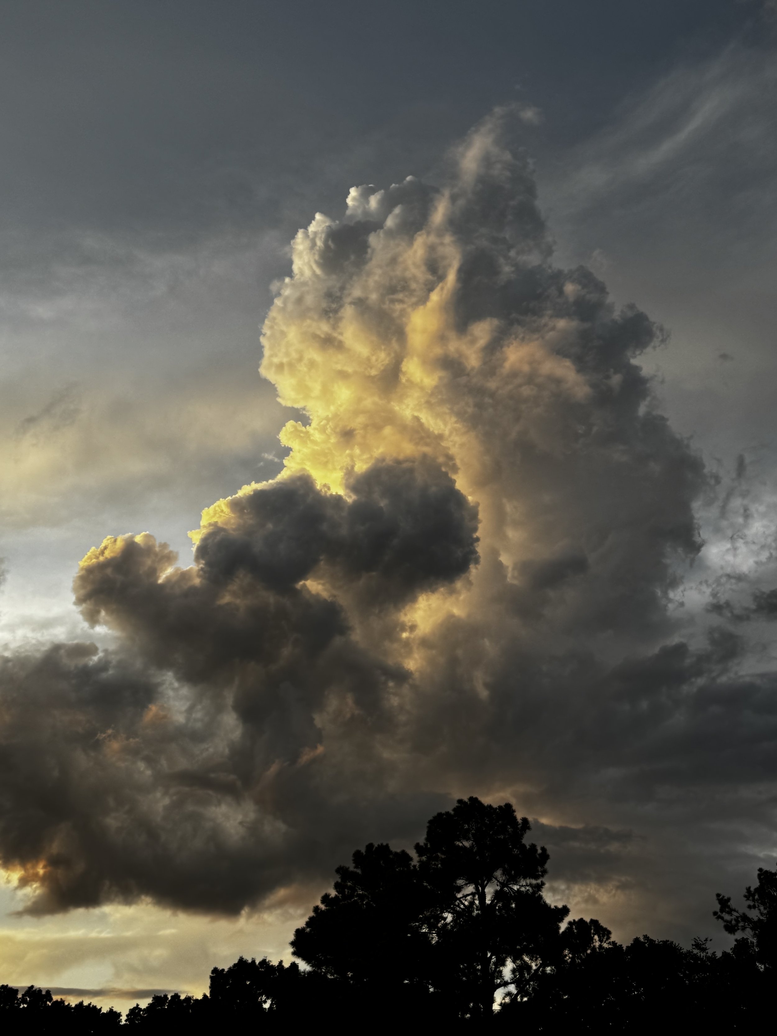 Episode 193: Pop-up Thundershower on the Sleeping Porch