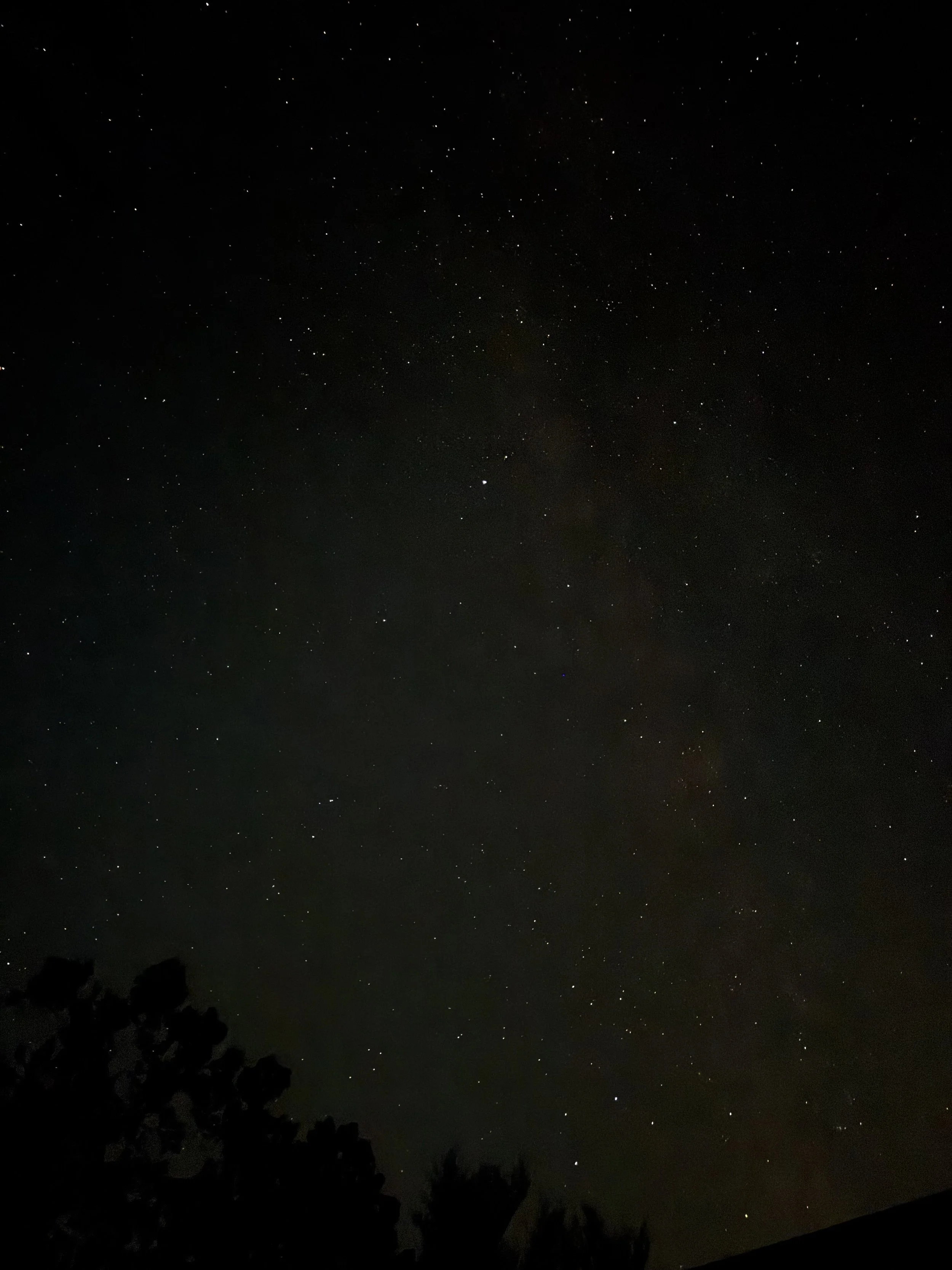 Episode 194: Insect Lullaby under the Perseids