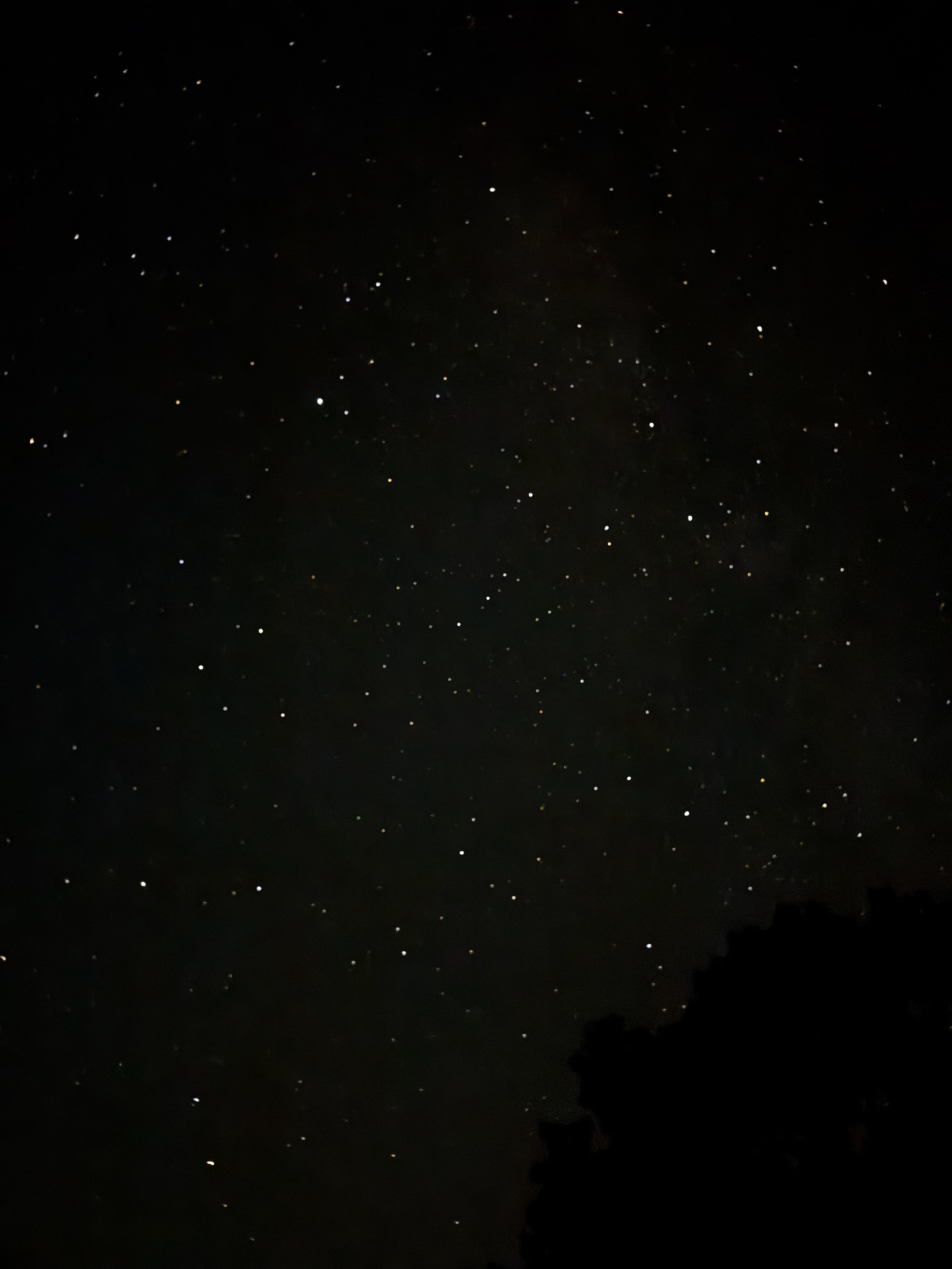 Extended Cut: Insect Lullaby under the Perseids