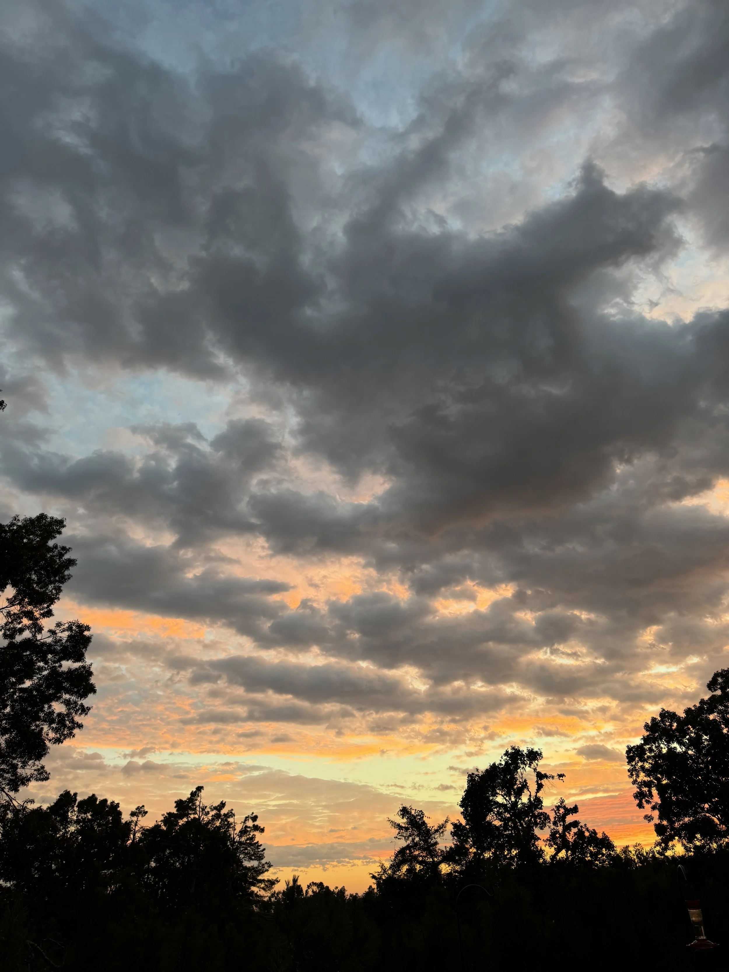 Episode 206: October Rain at Day’s End