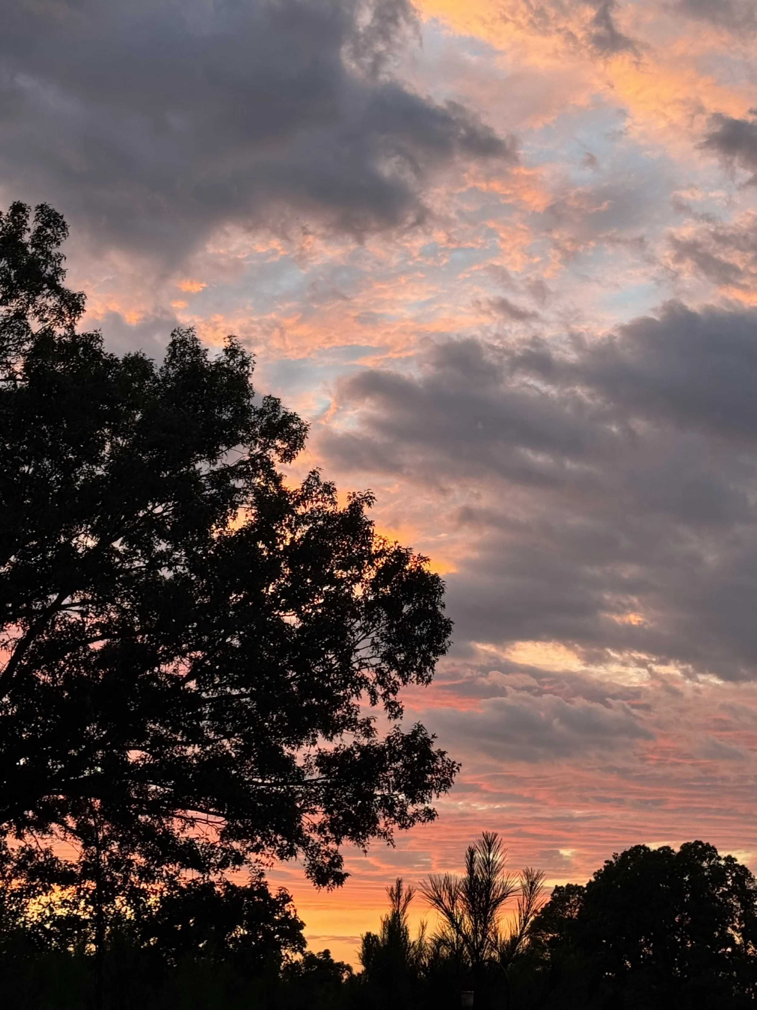 Extended Cut: October Rain at Day’s End