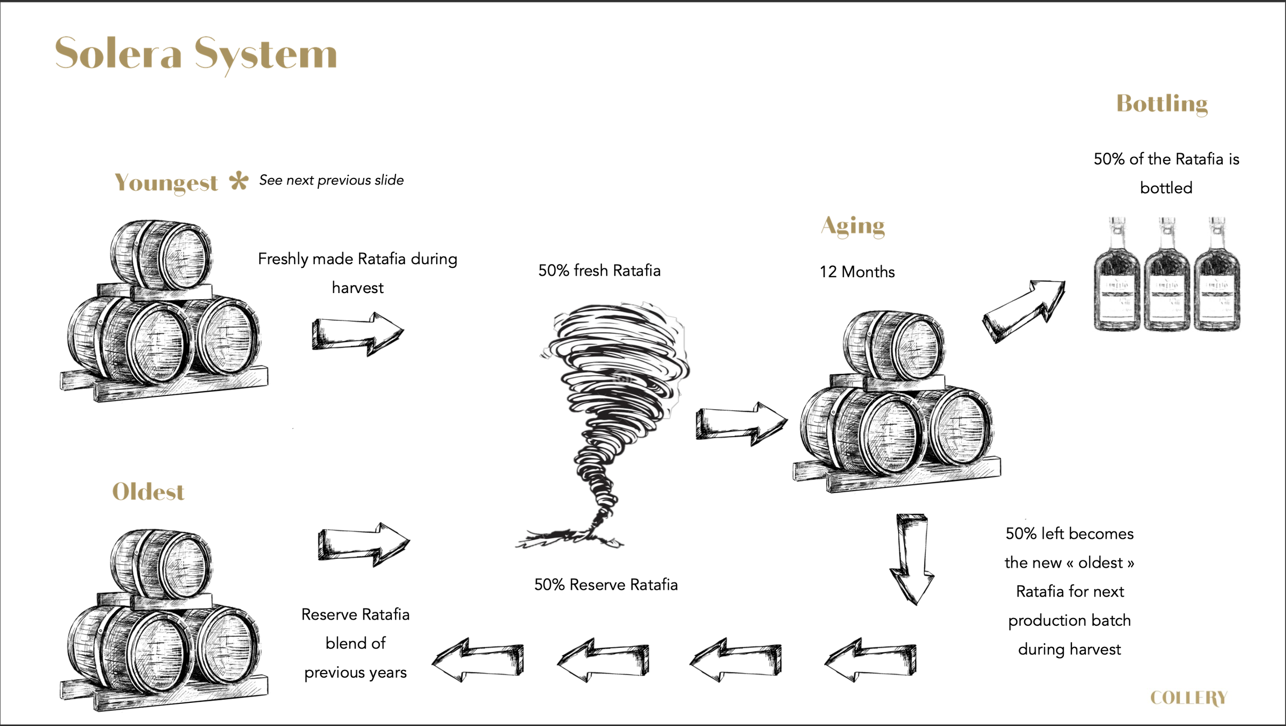 Sketch-style diagram of the Ratafia wine production process before bottling