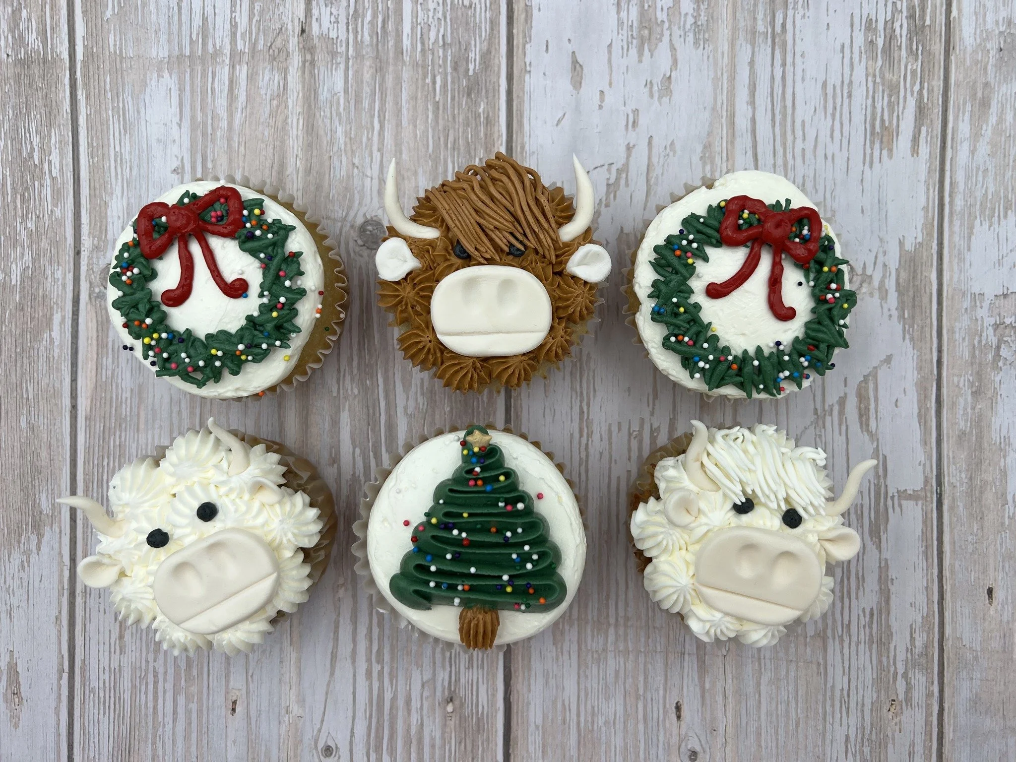 Holiday Highland Cows at Stone View Farm - SOLD OUT