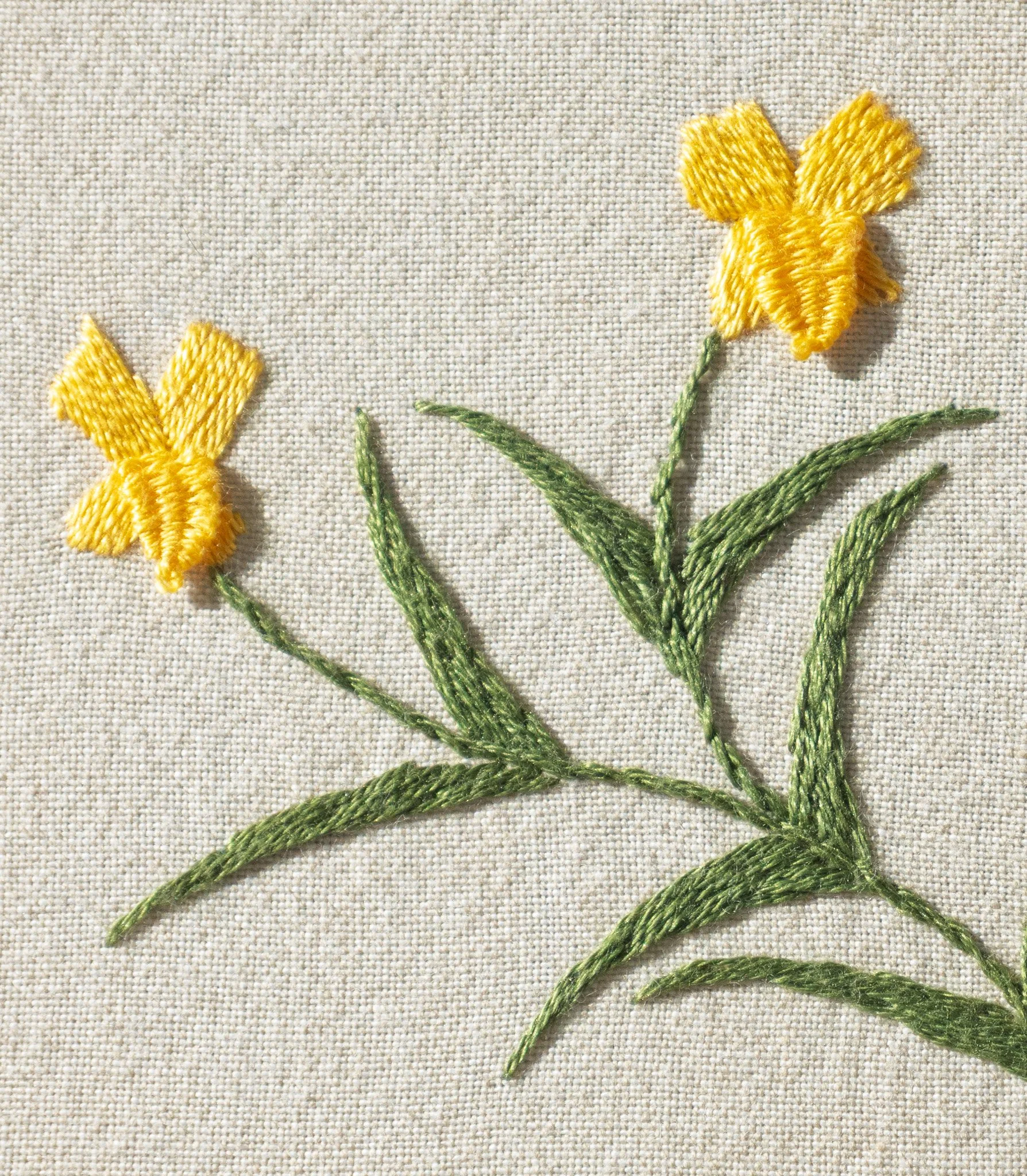 Embroidering California's Monkeyflower - October 3