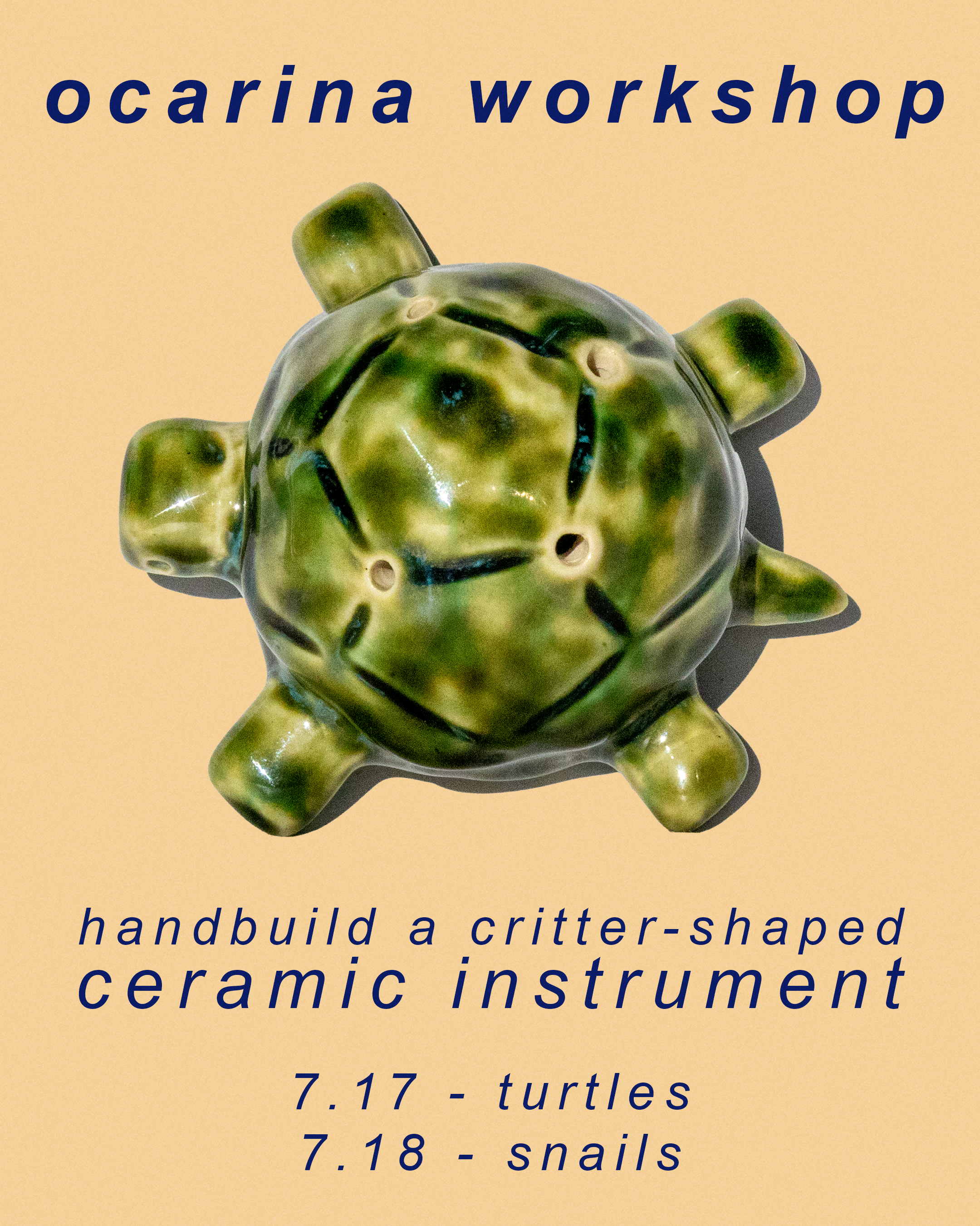 turtle flyer.png