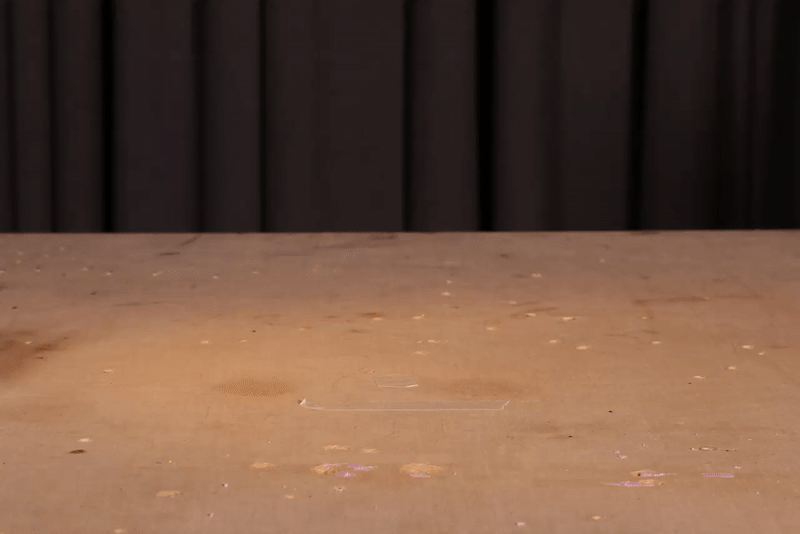 roach.gif