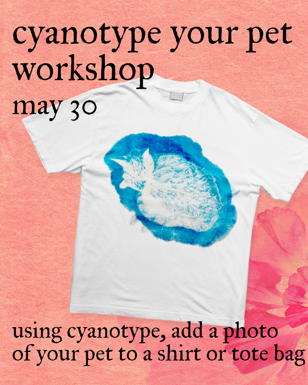 Cyanotype Your Pet