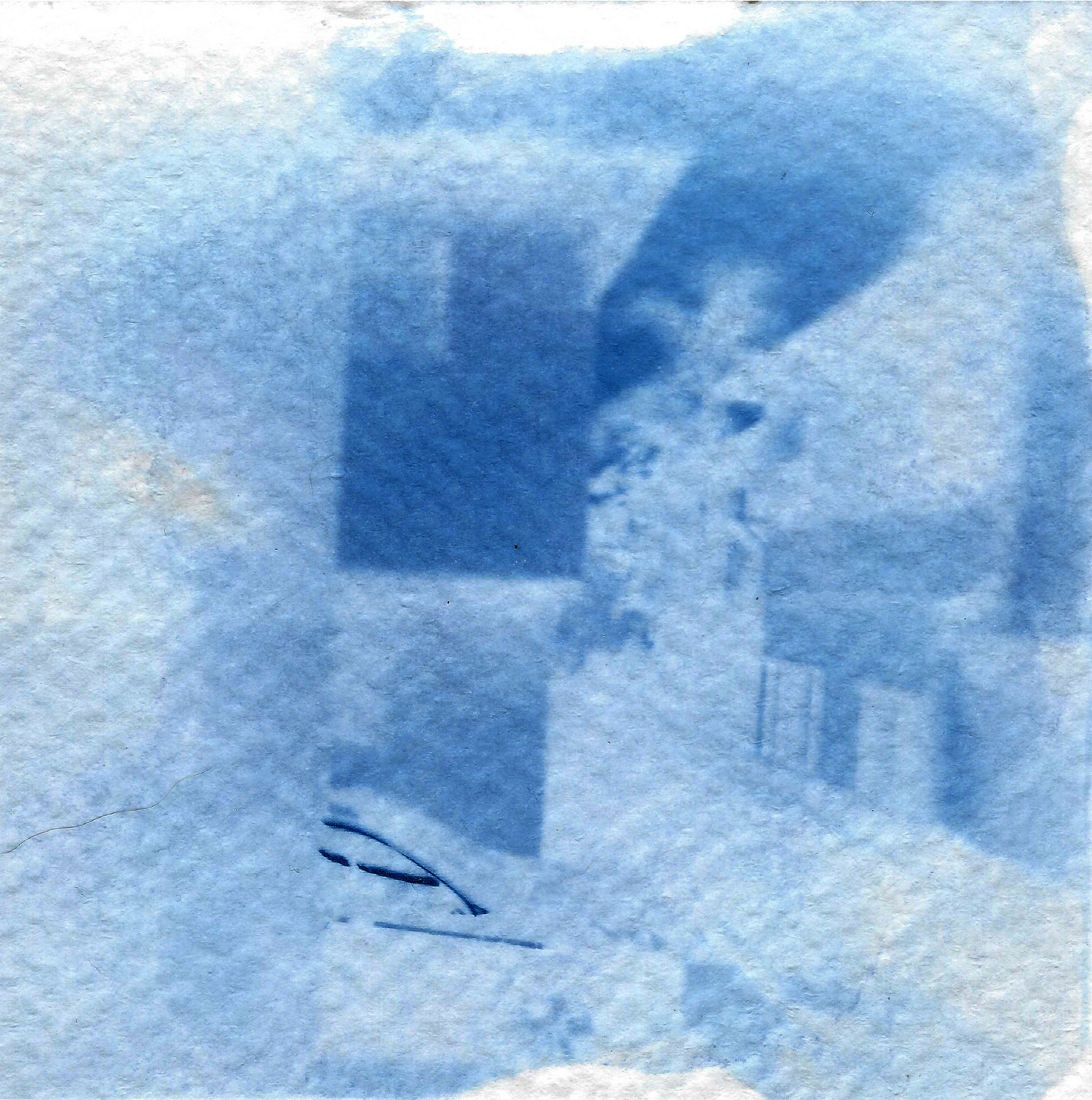cyanotype_neg 2.png