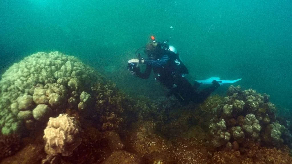 Kauaʻi environmental, flood forecasting projects recommended for first green fee funding