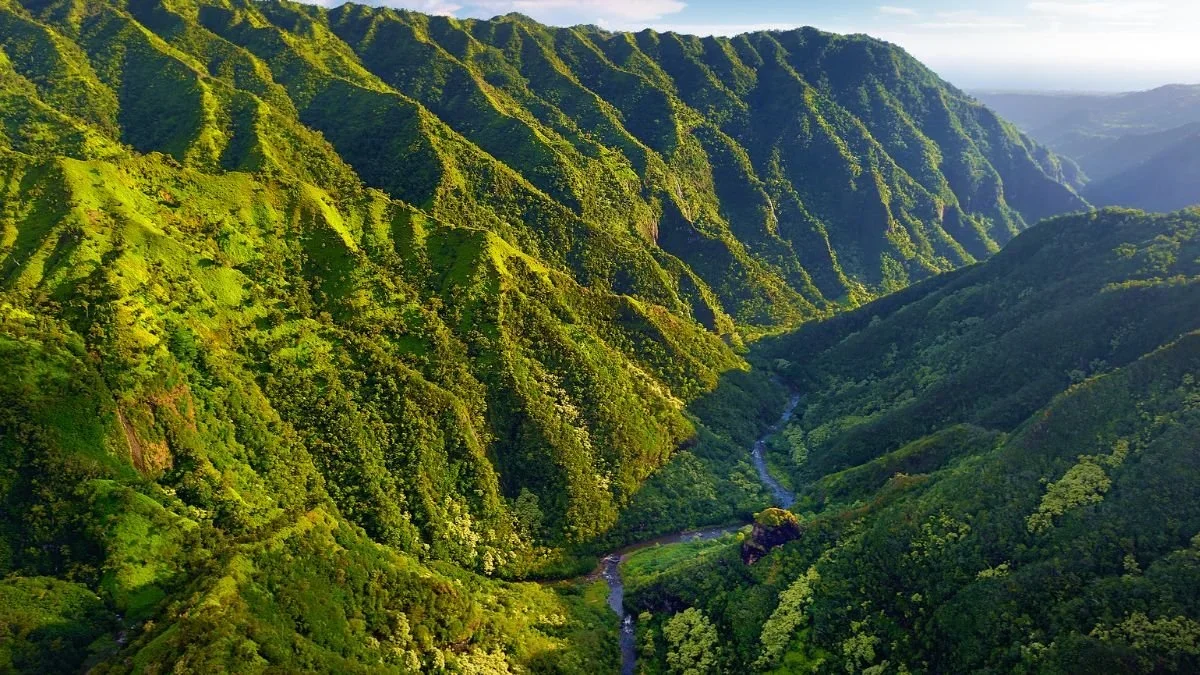 Editorial: Green fee only for climate projects