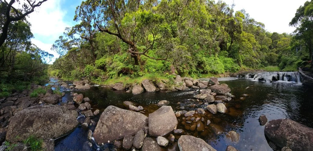 State’s new ‘Green fee’ will be allowed to take effect as scheduled after court ruling