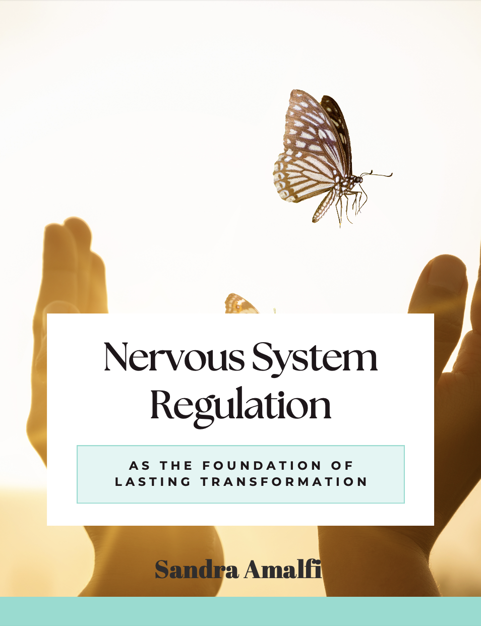 Nervous System Regulation Booklet