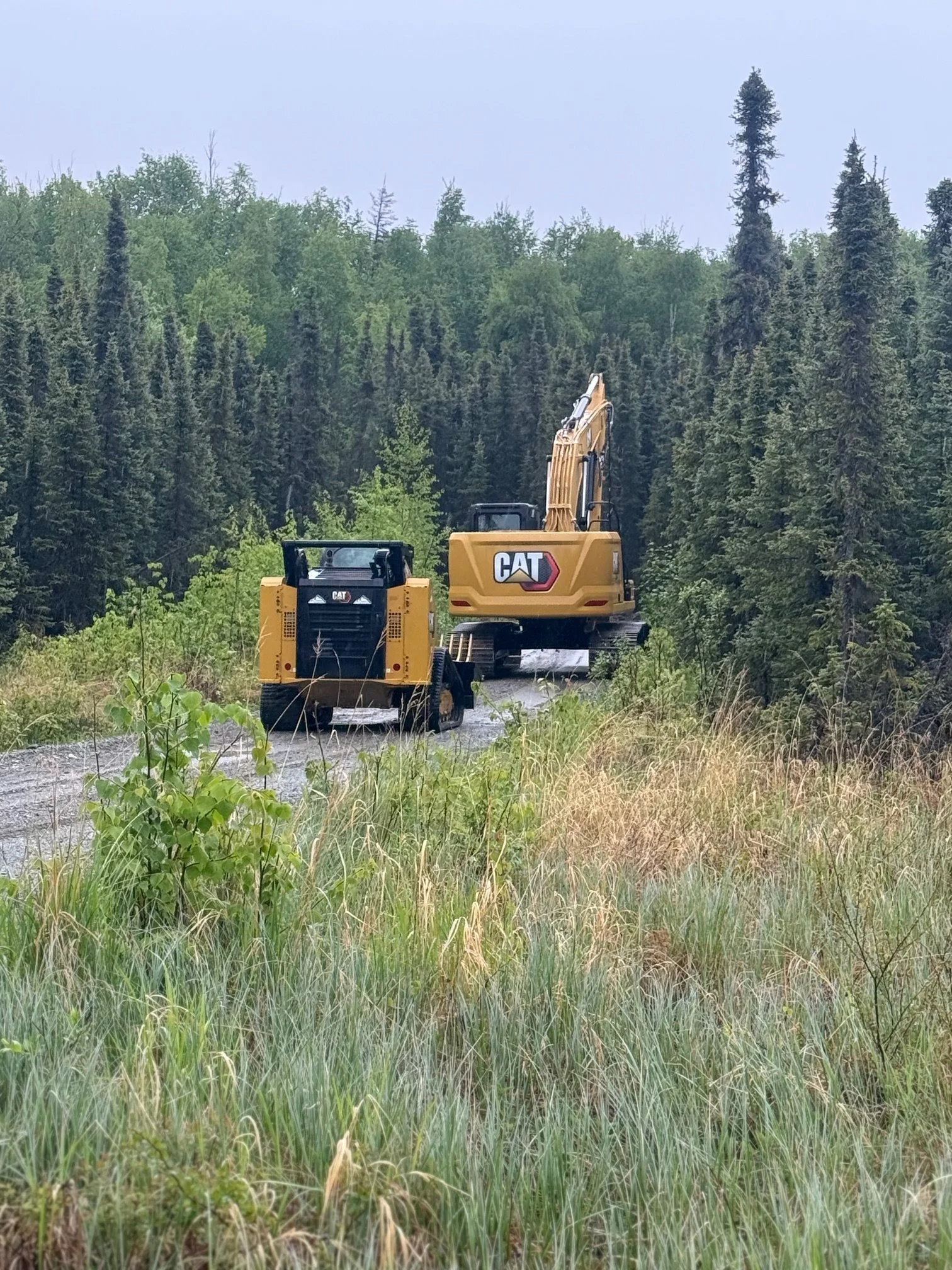 Construction machines, a CAT excavator and a generator, on a muddy dirt road surrounded by tall grass and dense trees in a forested area.